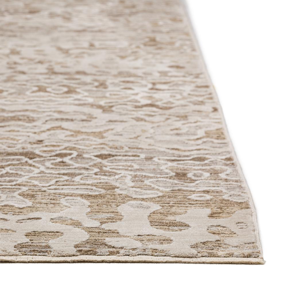 Dalyn DZ6MO5X8 rugs - View #6