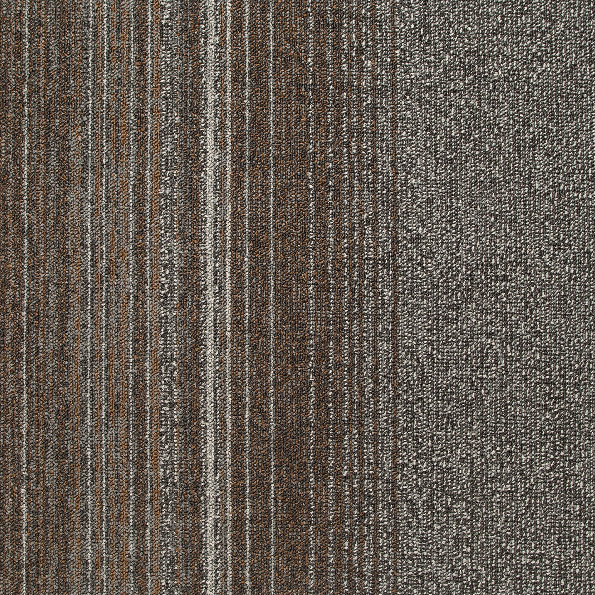 Kraus L680303 Linear 20-in x 20-in Sibyl Brown Commercial/Residential Full Spread Adhesive Indoor Carpet Tile (53.82-sq ft)