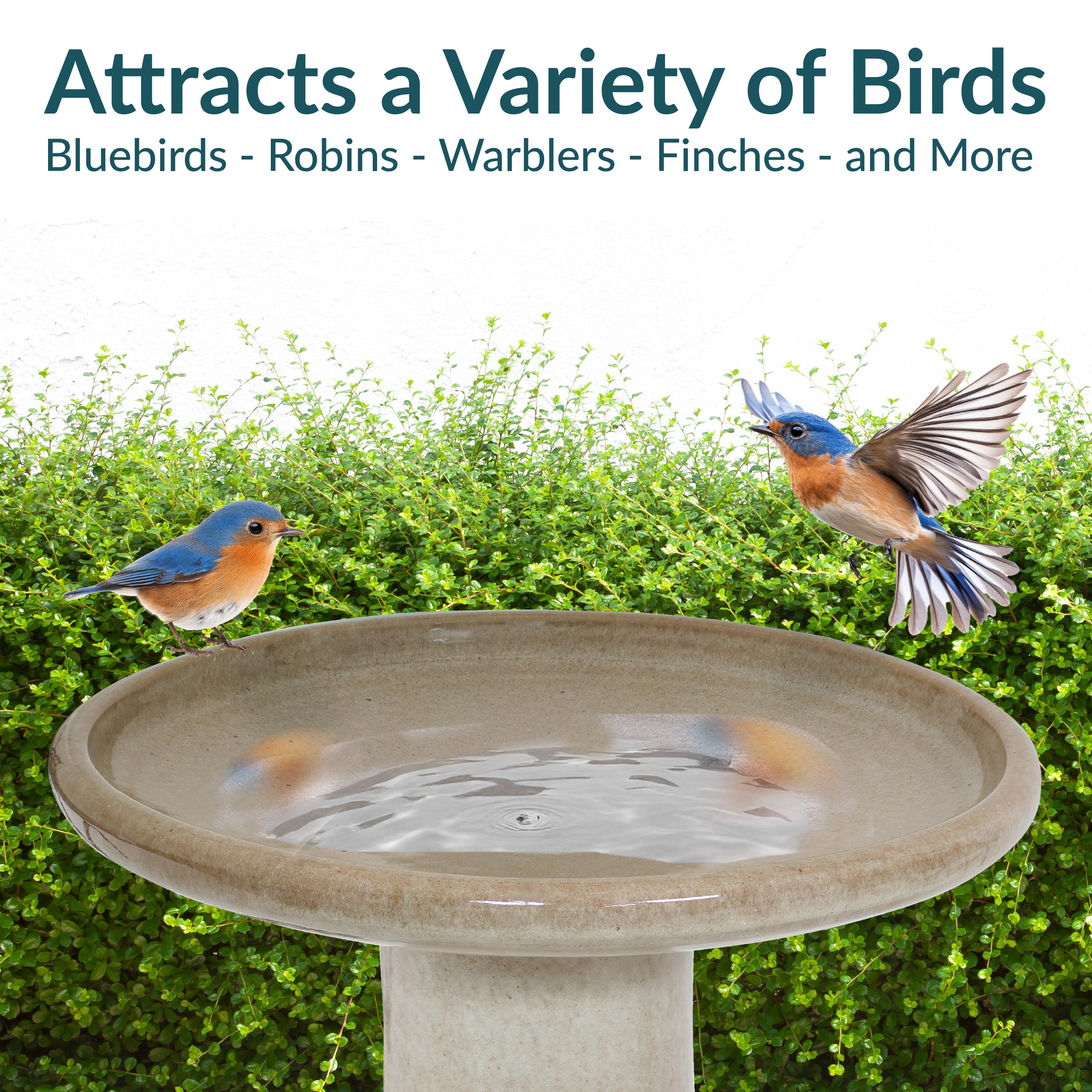 Sunnydaze Decor AP-367 birdbaths - View #4