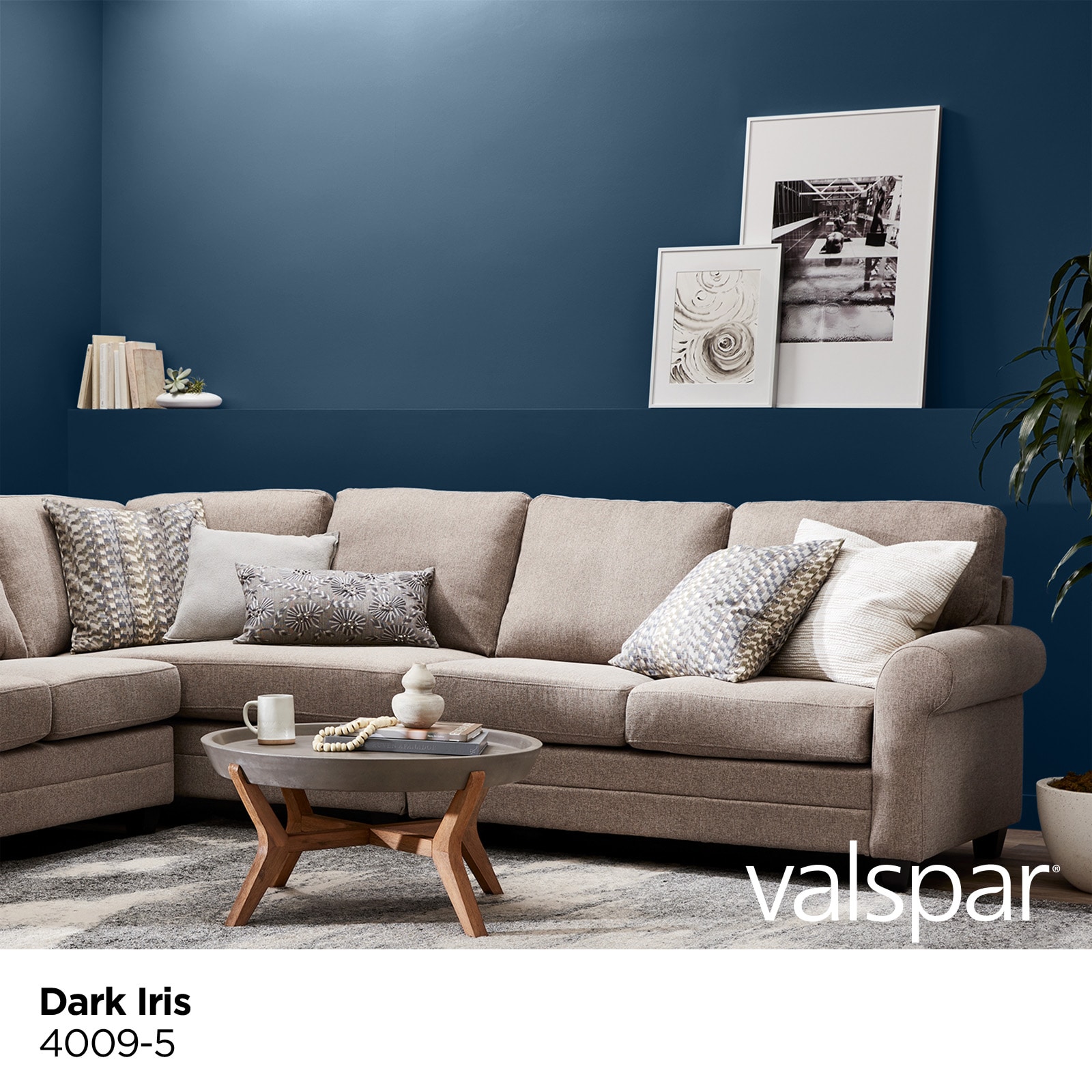 Valspar 4009-5-33854 Int-Ext-Paint - View #2