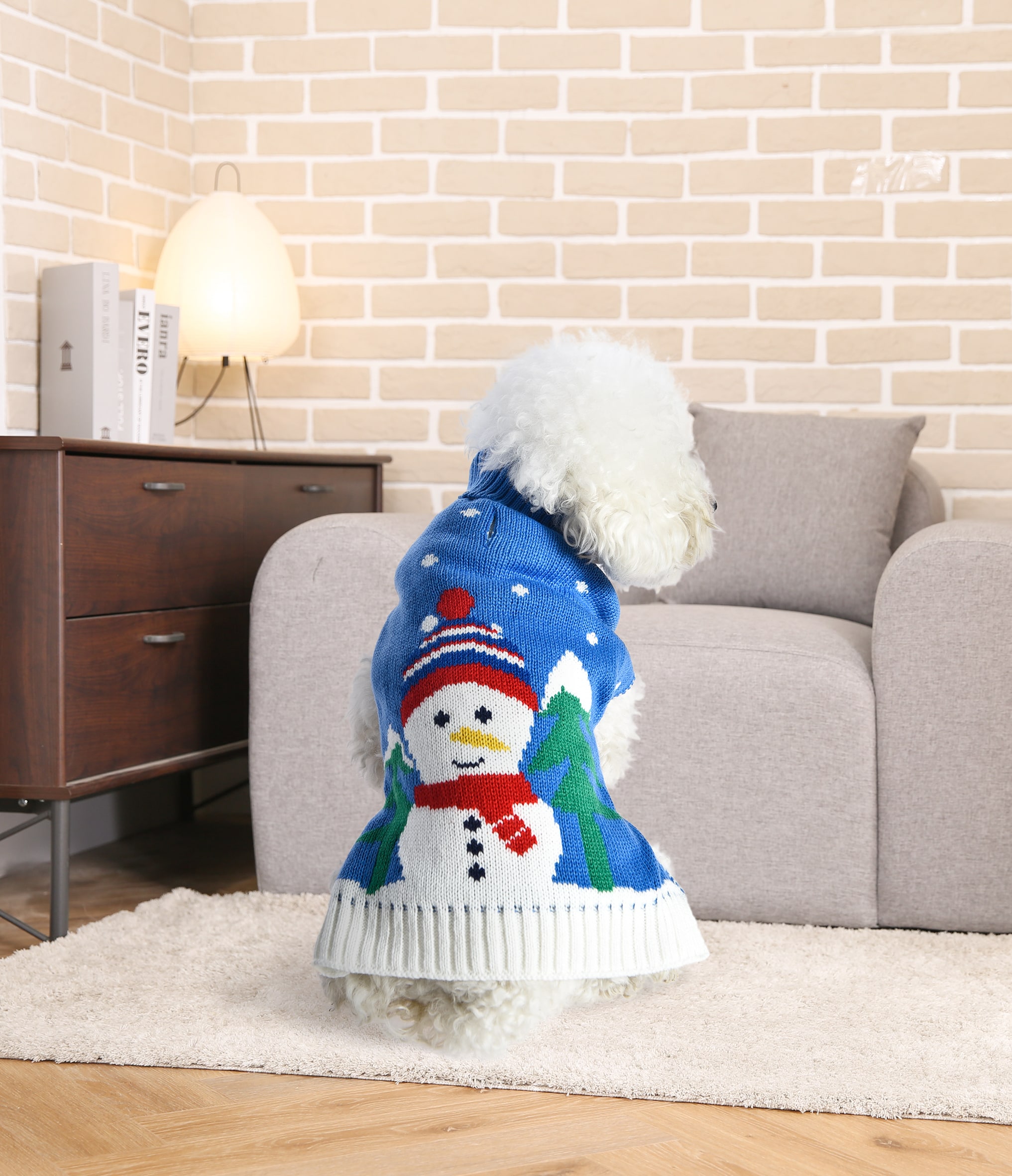 Holiday Living YJ2306-XS Dog-Apparel - View #8