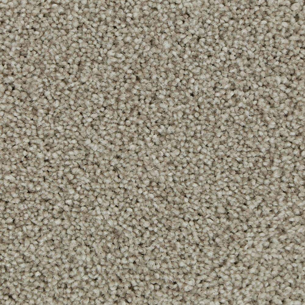 STAINMASTER STP51-15-L009 Calming Stride II Cypress Brown 60-oz sq yard Triexta Textured Indoor Carpet