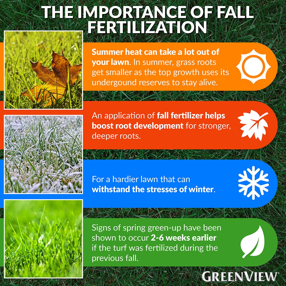 Greenview Fall Lawn Food 16-lb 5000-sq ft 22-0-10 Fertilizer in the ...