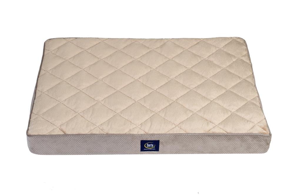 Serta pillow 2024 top dog bed