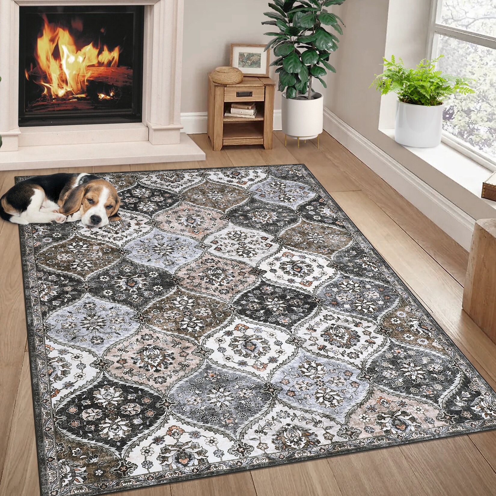 WhizMax SUNNY-PHO-10OJNC36 rugs - View #3