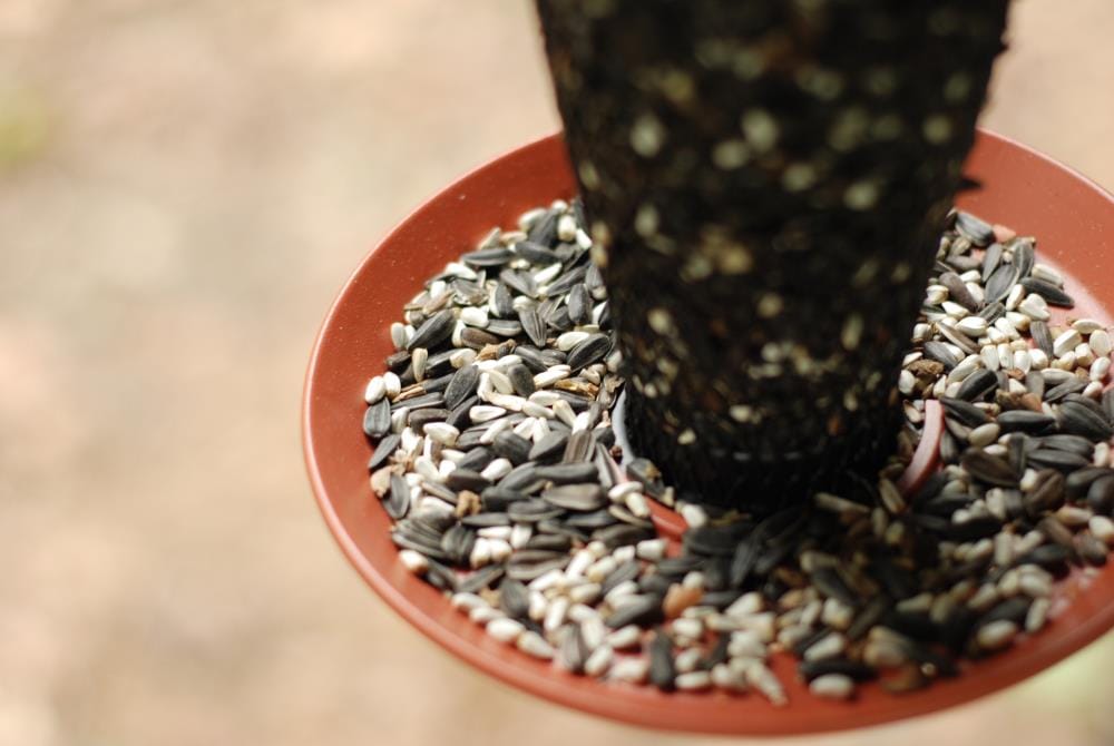 No/No Wild Bird Feeders TCB5S00342 Bird-Feeders - View #2