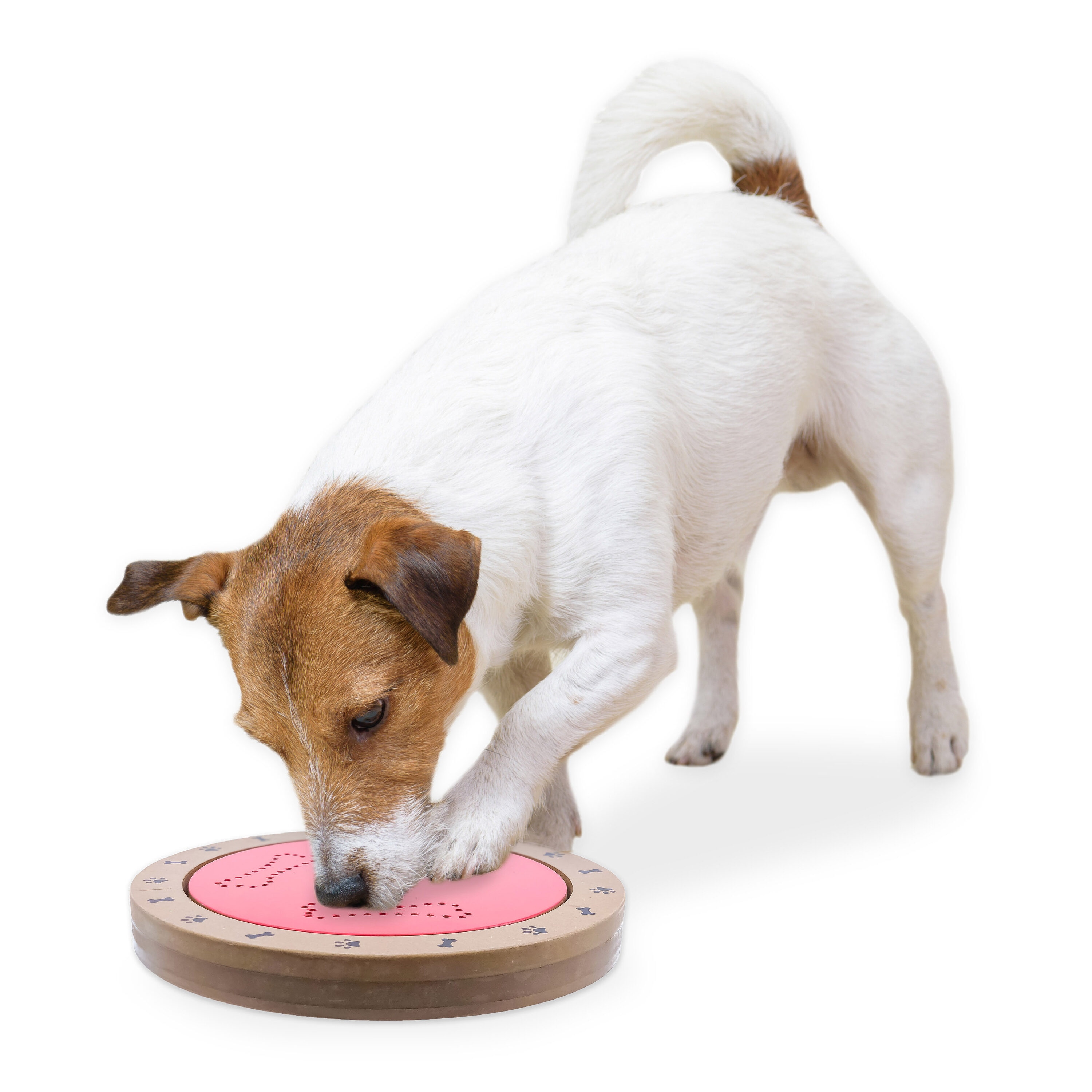 Flipo PET-SMARTSPIN Dog-Toys - View #3