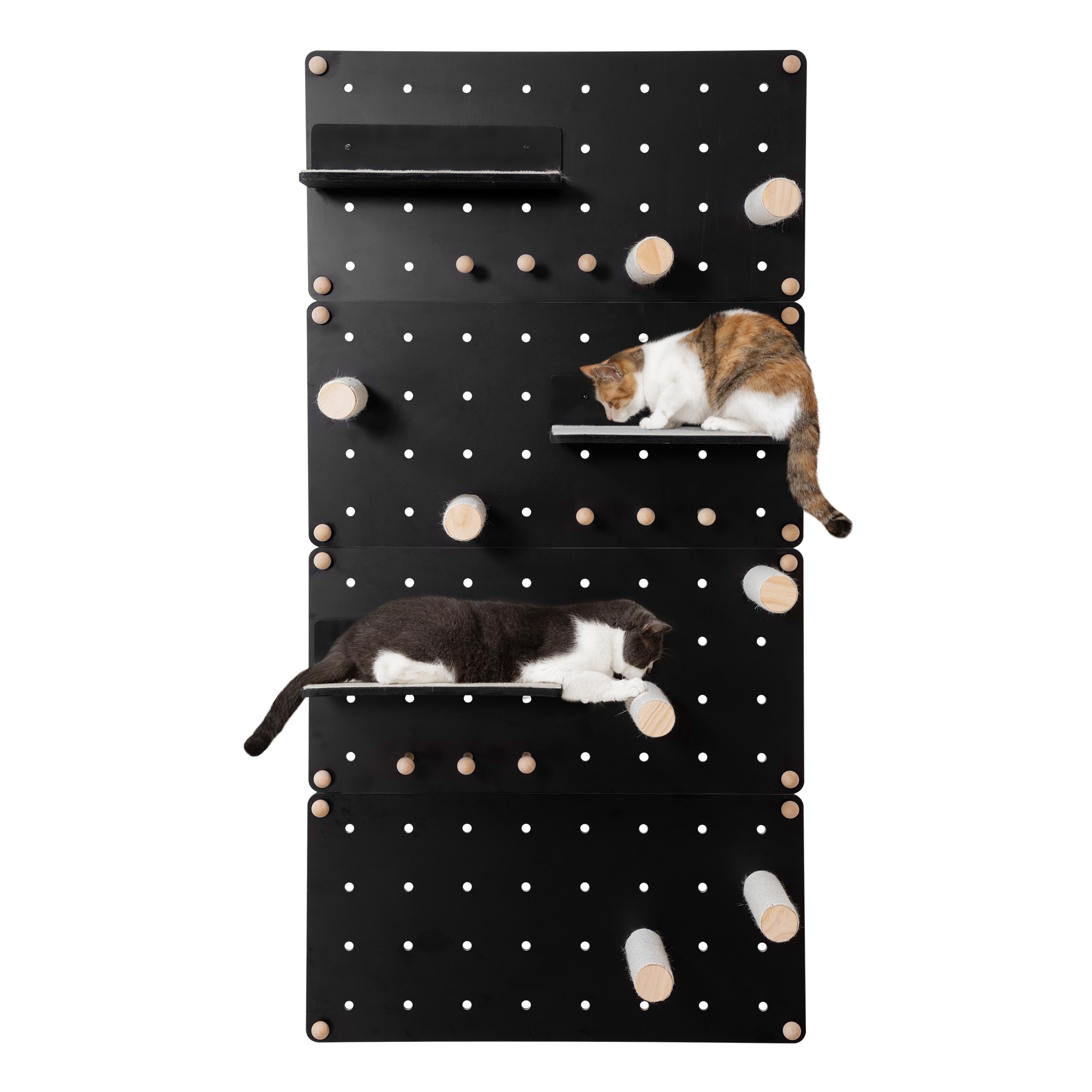 Coziwow CW12P0640-L02 63-Inches x 9.8-Inches Black Cat Shelves