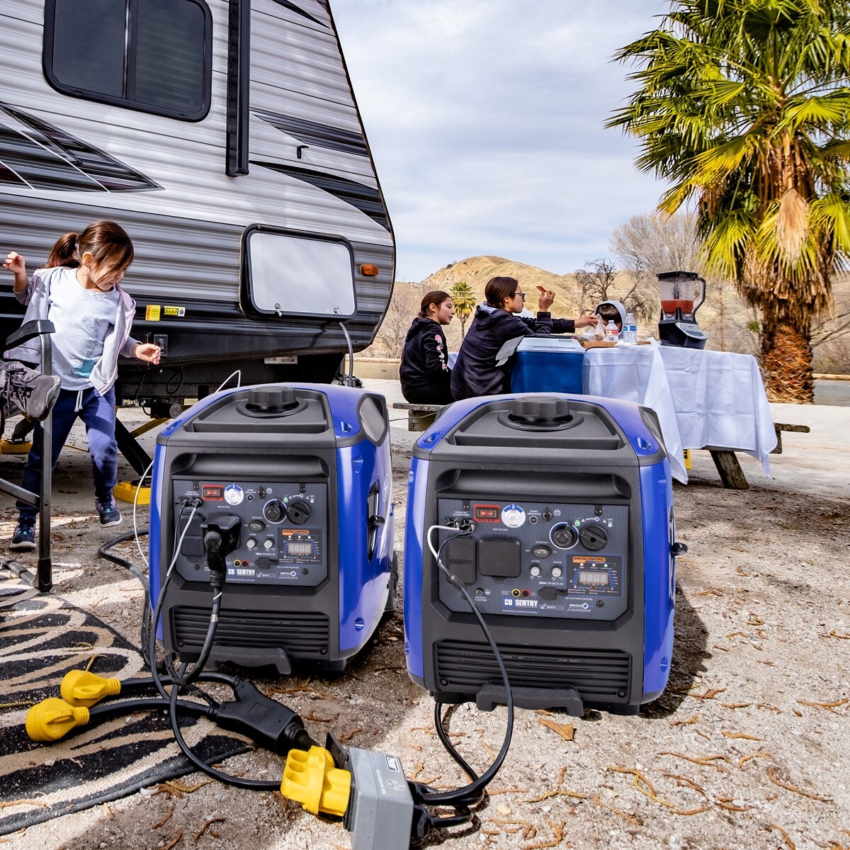 Ford FG4500BISRCO Inverter-Generators - View #7