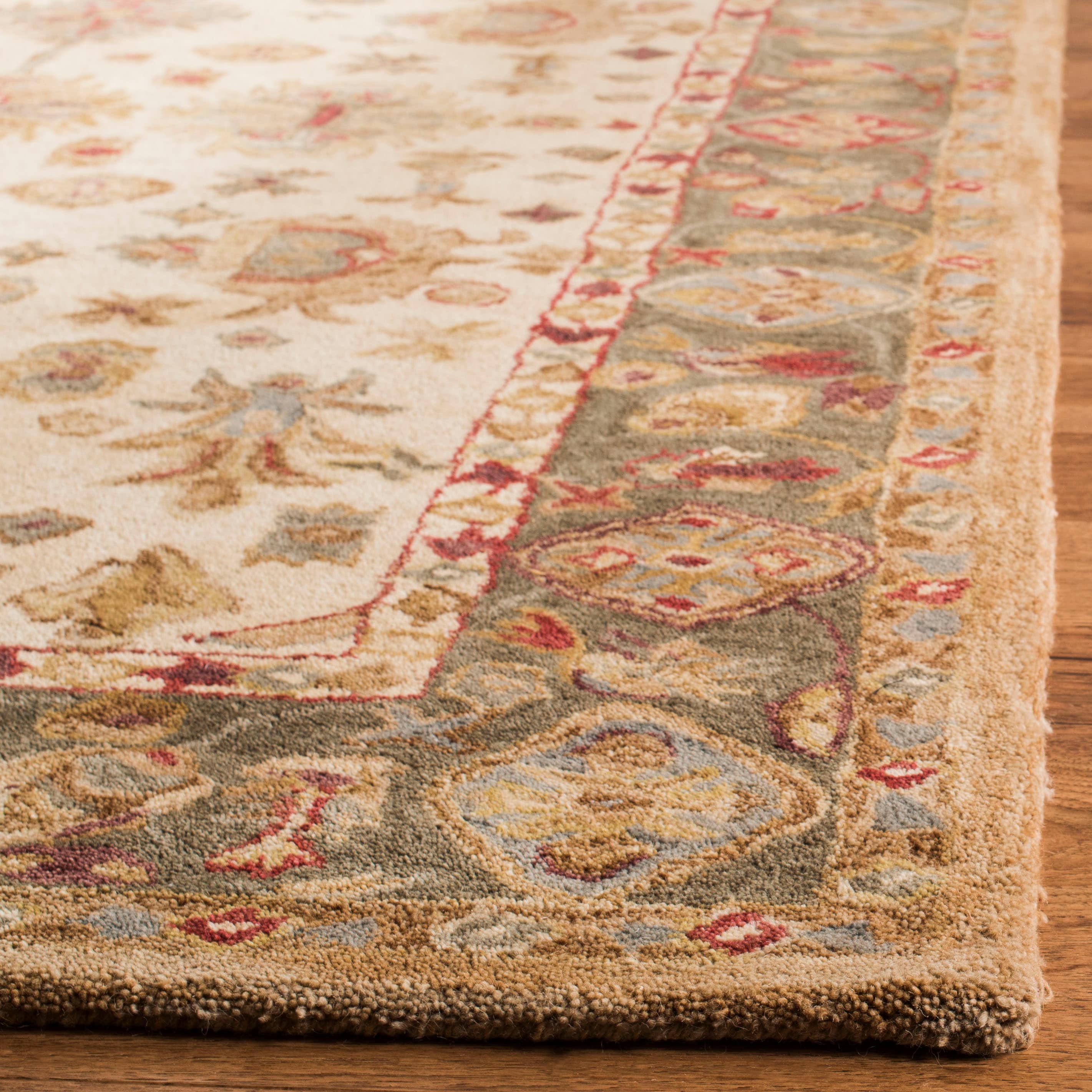 Safavieh AN547B-10 rugs - View #4