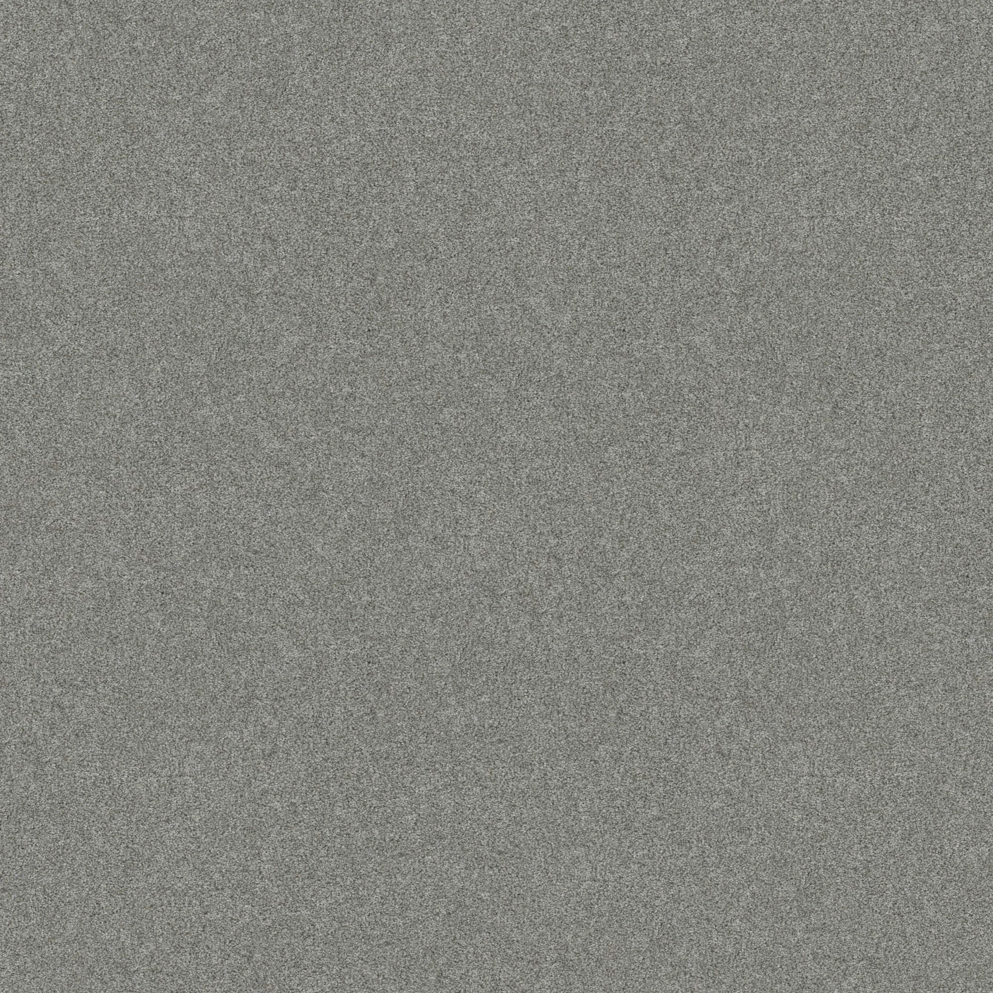 STAINMASTER 7L908 - 307 - SAMP (Sample) Paws Down III Waters Edge Gray 58.5-oz sq yard Nylon Textured Indoor Carpet