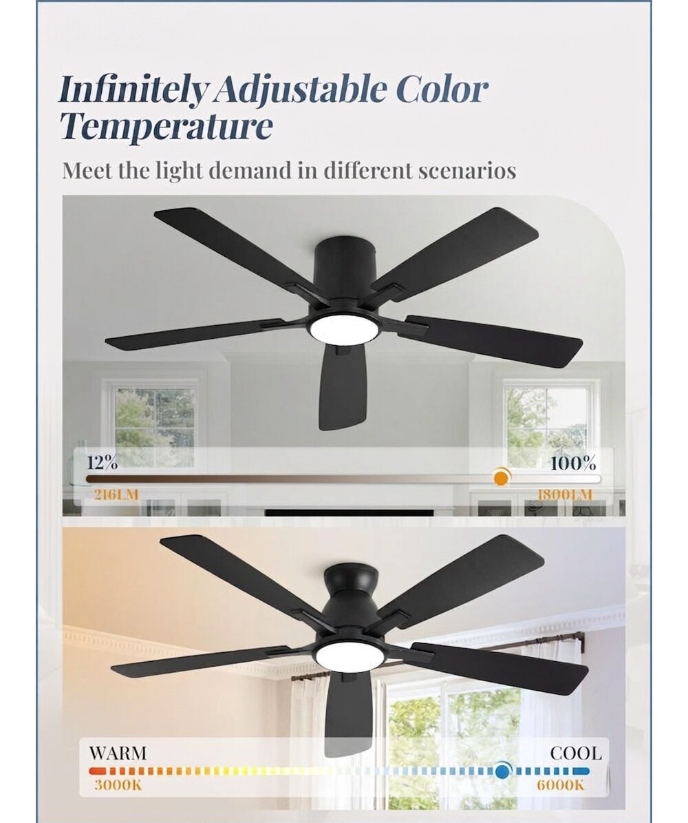 Oyezvary LOZ1427E93 Ceiling-Fans - View #3