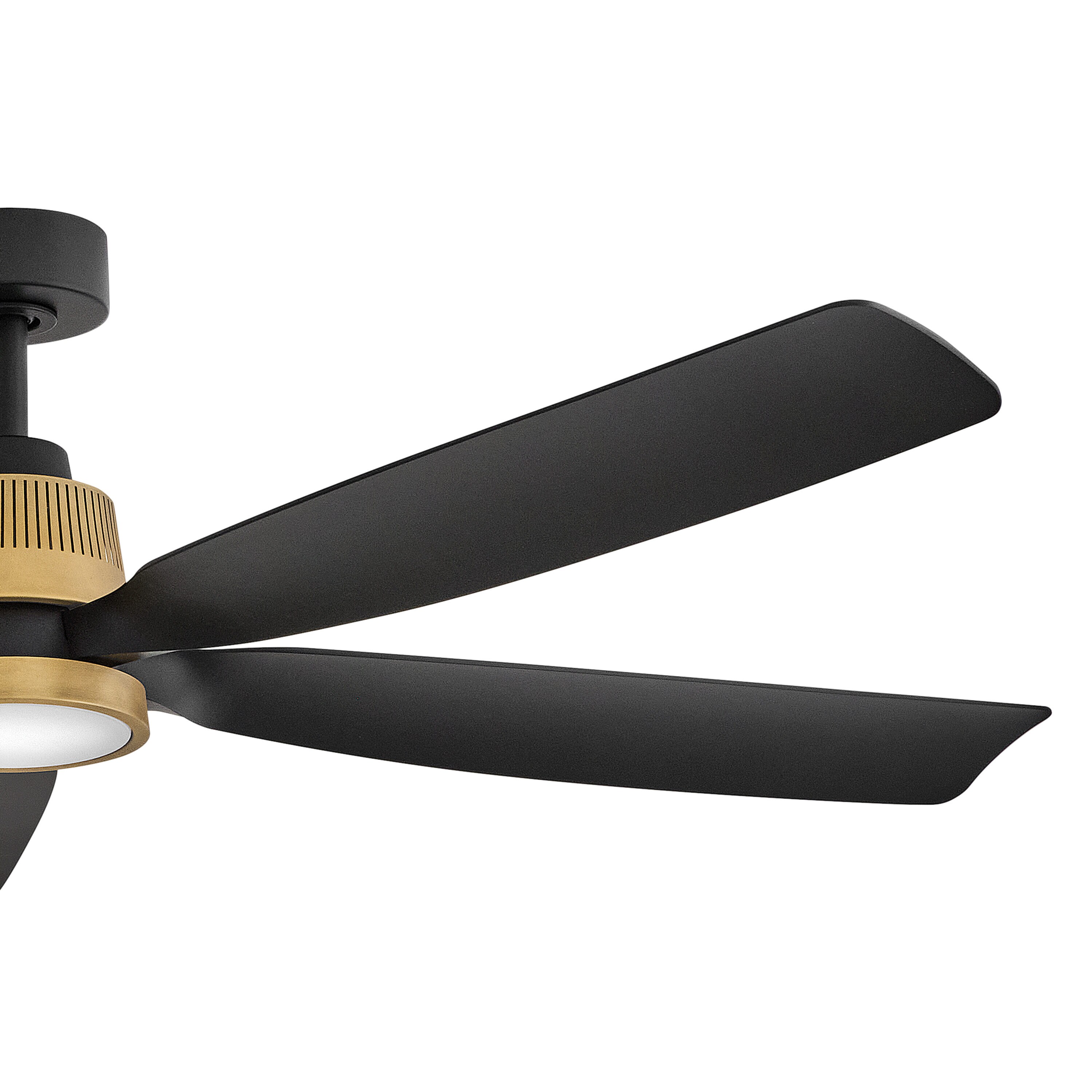 Hinkley 906564FHB-LDD Ceiling-Fans - View #3