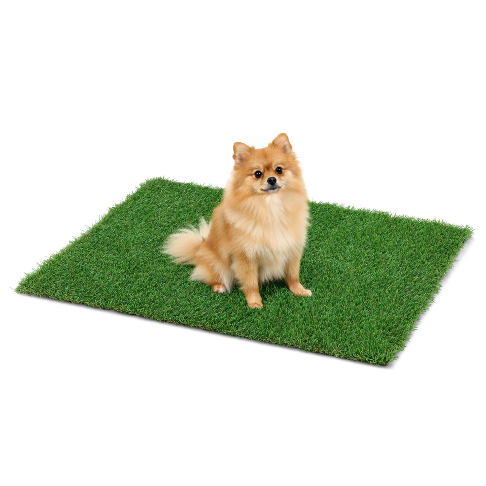 Bliss Hammocks - Bliss Artificial Grass Dog Potty Train Mat Easy Clean Drainage 39.4 Inches x 31....