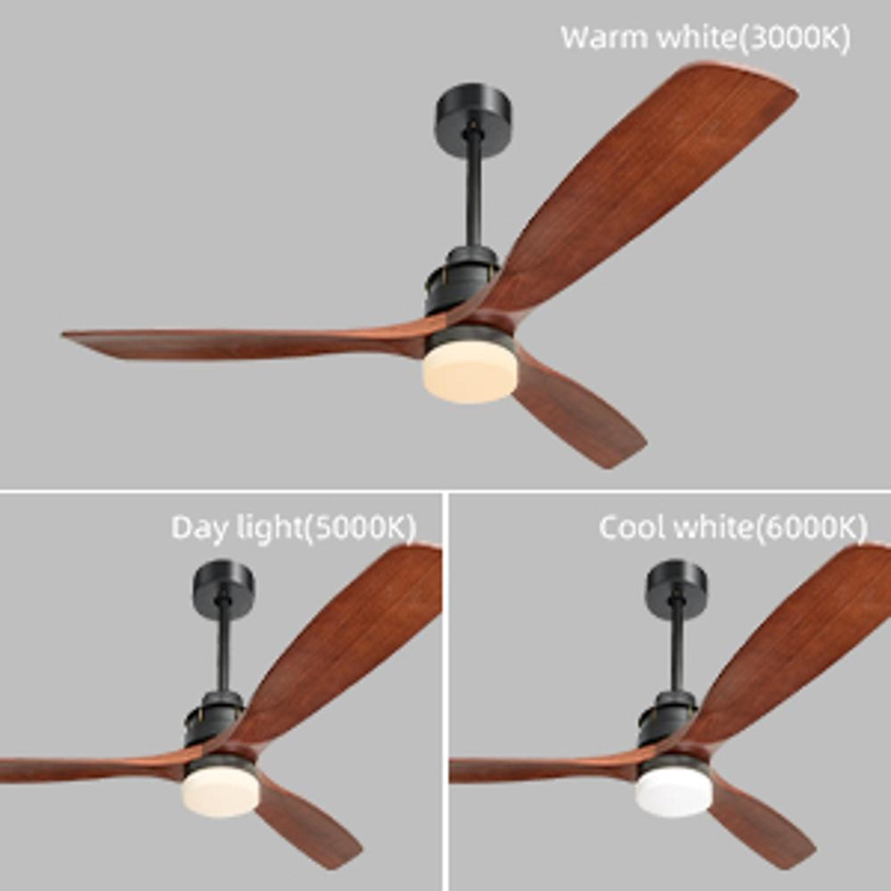 Bayfeve BFKS-600A5 Ceiling-Fans - View #3