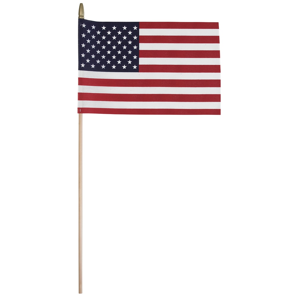 Valley Forge Flag 1-ft W x 2-ft H Patriotic Flag