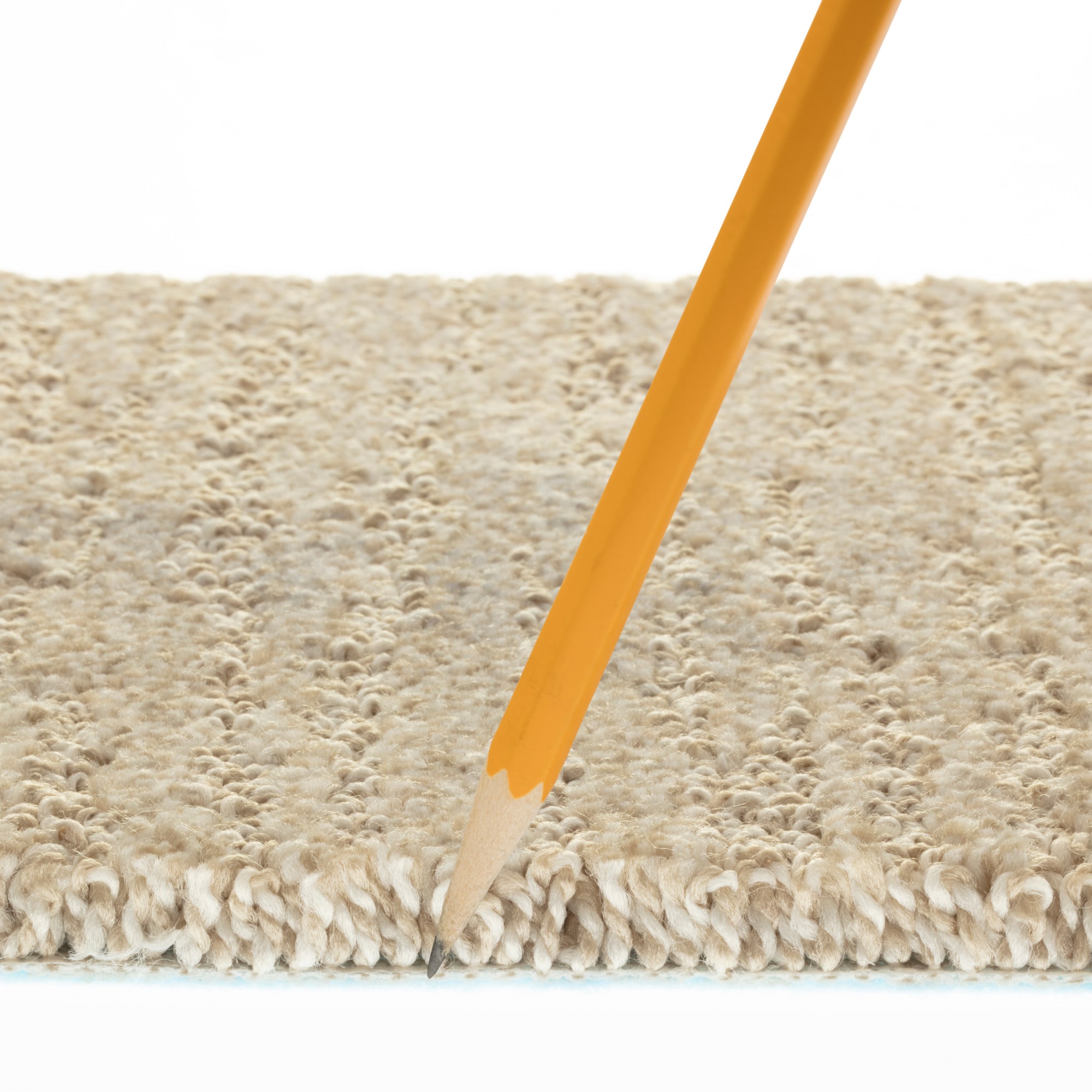 STAINMASTER PetProtect 7L93300119 Carpet-Panel - View #10
