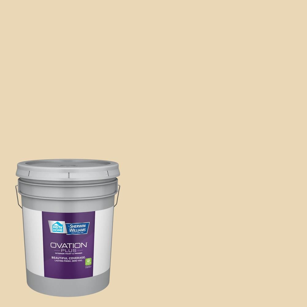 HGTV HOME by Sherwin-Williams 3005-6C-2557223 Ovation Plus Flat Soft Candlelight 3005-6C Latex Interior Paint Paint + Primer ( 5-gallon )