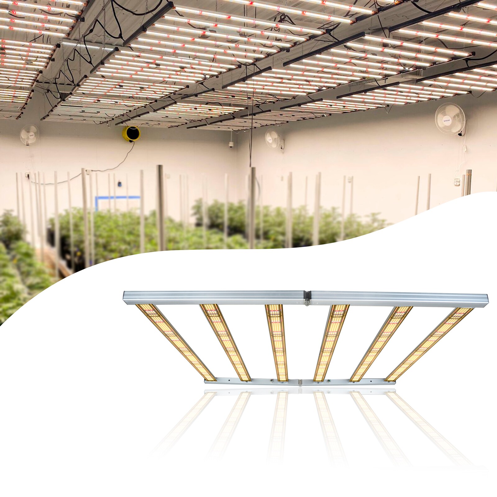 WYZM YX-8-01 Grow-Lights - View #9
