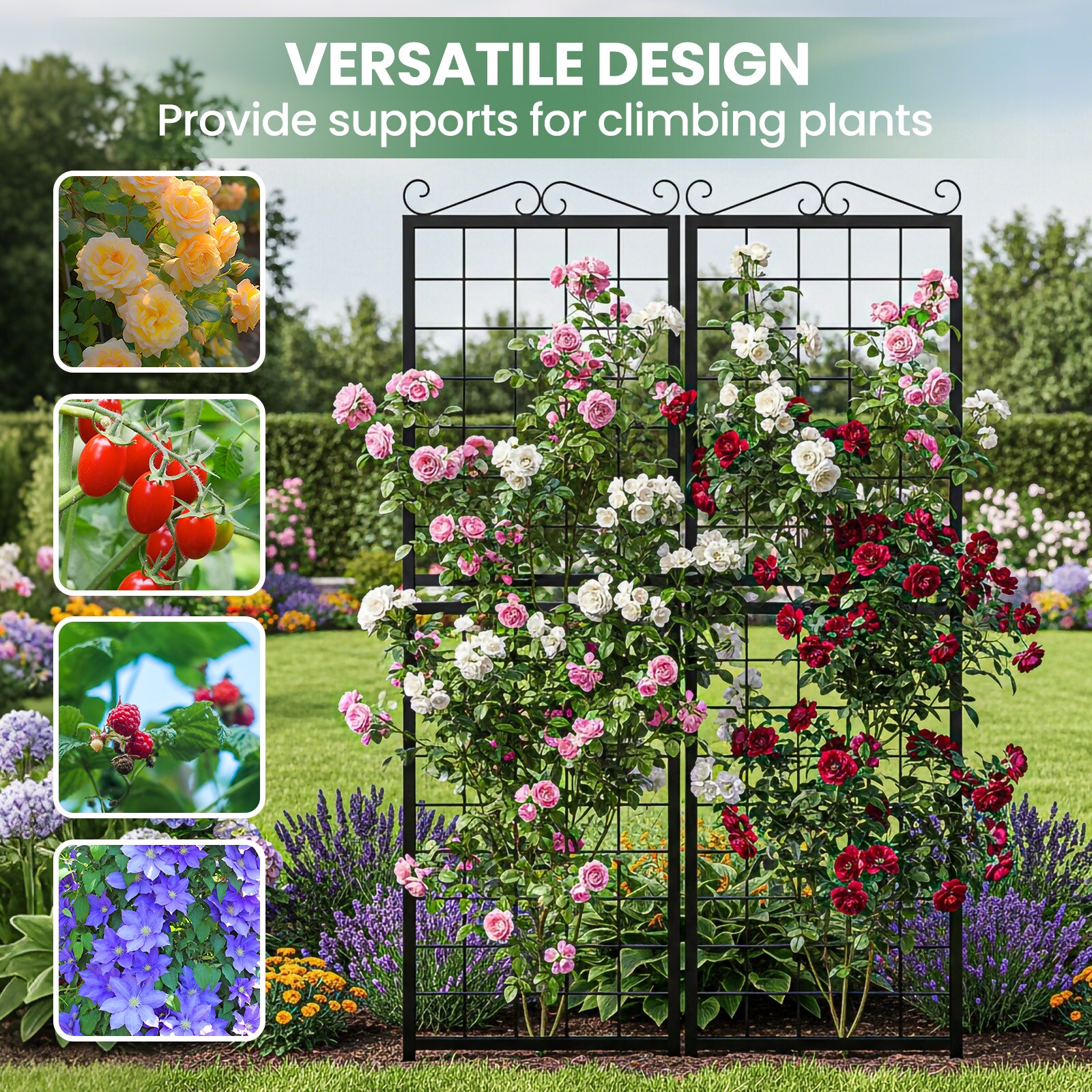DOCRED MGT-2PCSFGBK-A1-LS02 Garden-Trellis - View #5