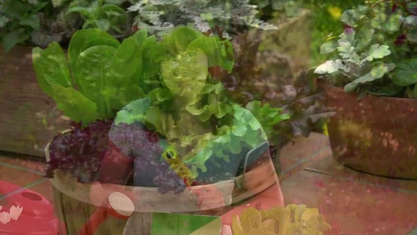 A thumbnail for the video