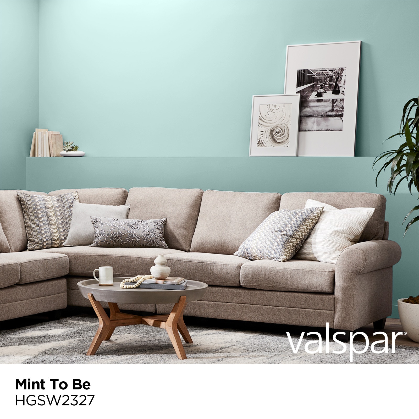 HGTV HOME by Sherwin-Williams HGSW2327 Paint-Samples - View #2