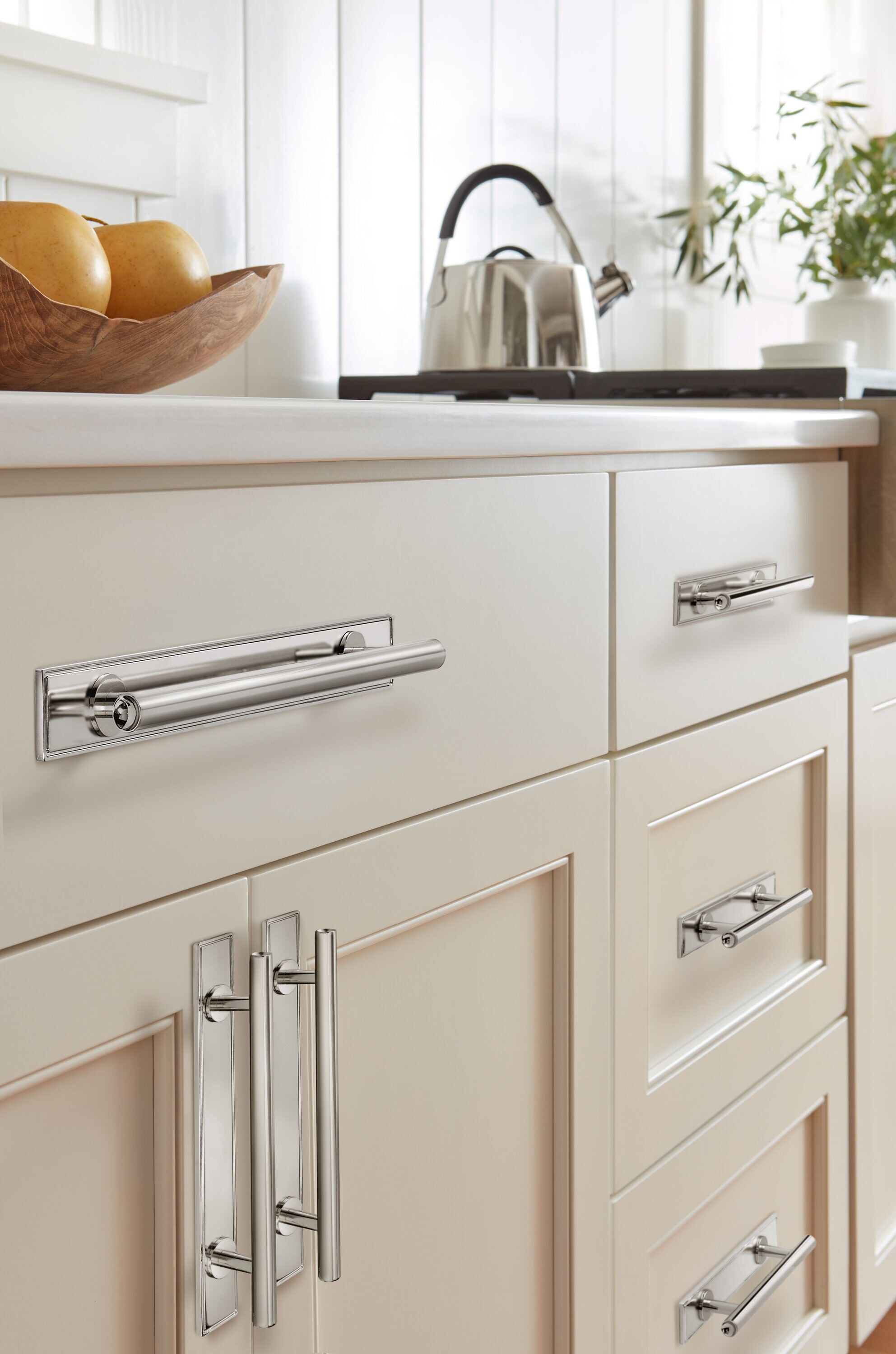 Amerock BP37604PN backplates - View #2