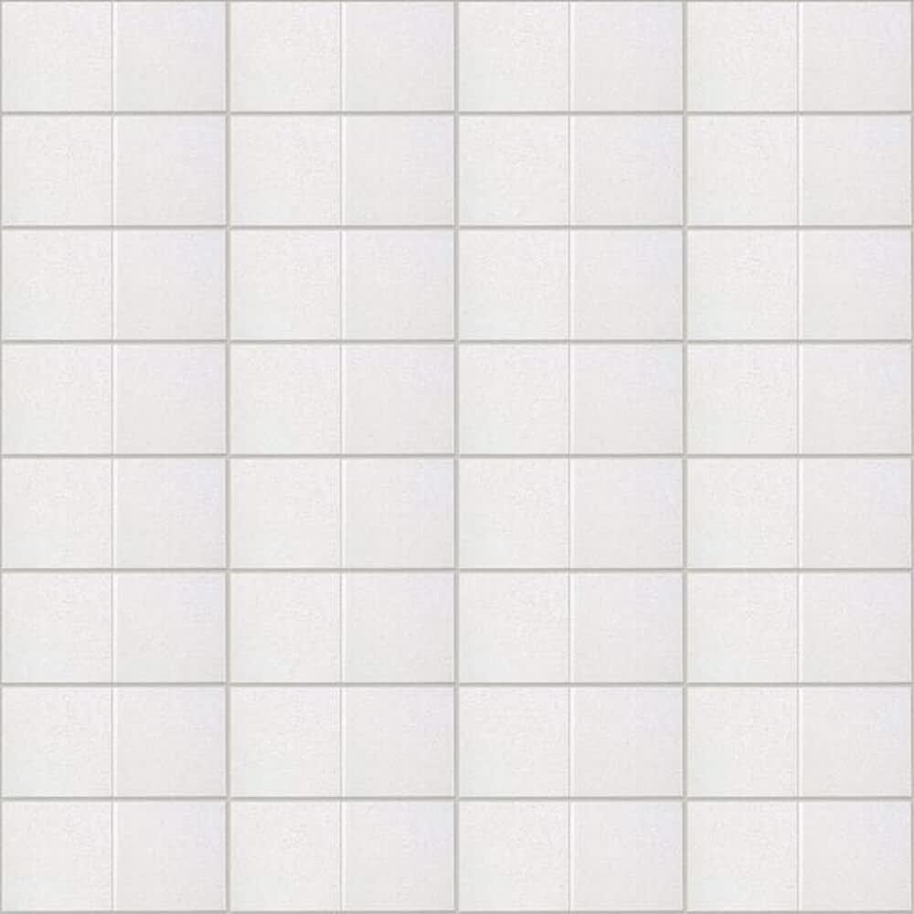 Armstrong Dune Ceiling Tile 24 in W x 48 in L Angled Tegular 15/16 in ...