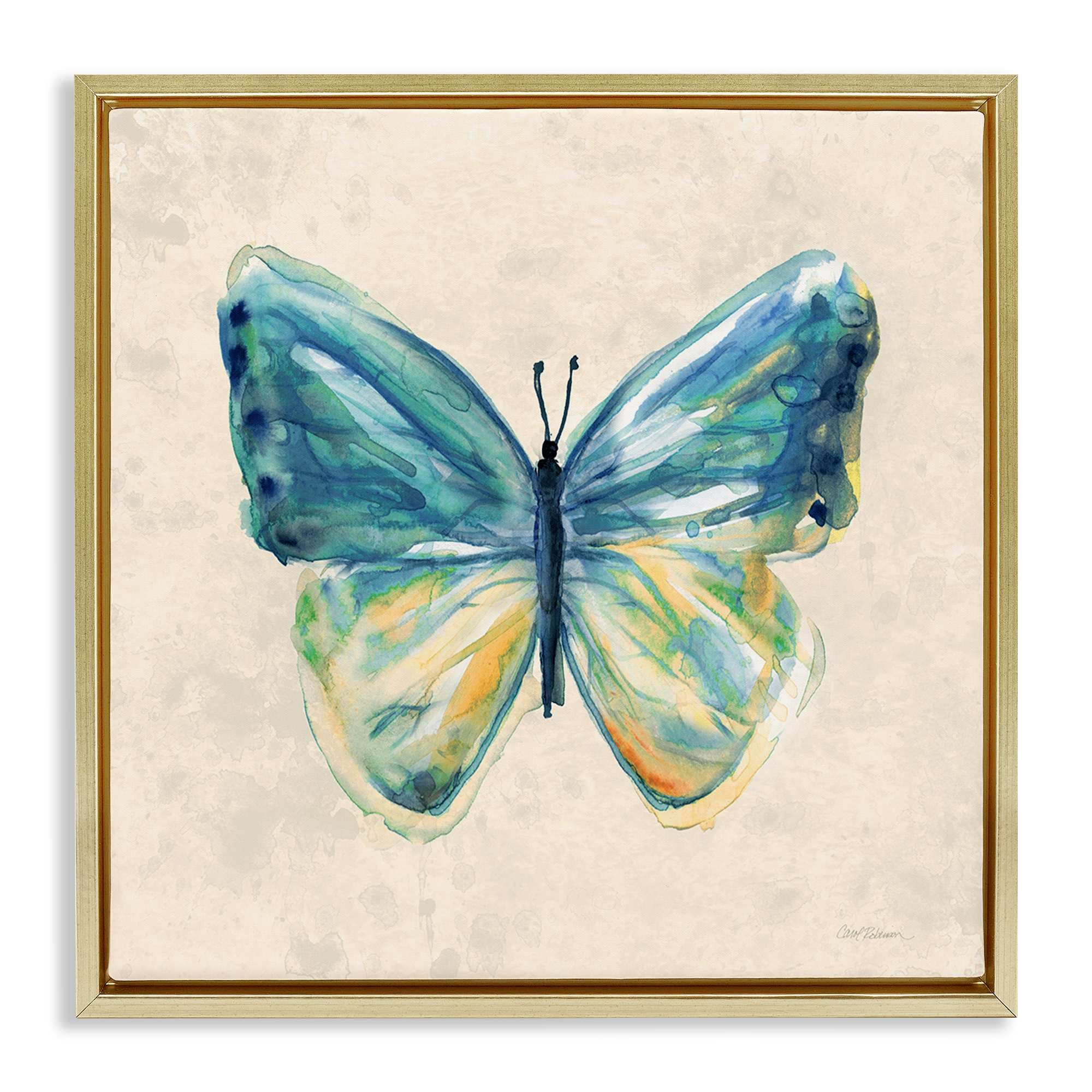 Stupell Industries BS-246-FFG-24X24 Bright Watercolor Butterfly Gold Framed Floater Canvas Wall Art By Carol Robinson 25 x 25