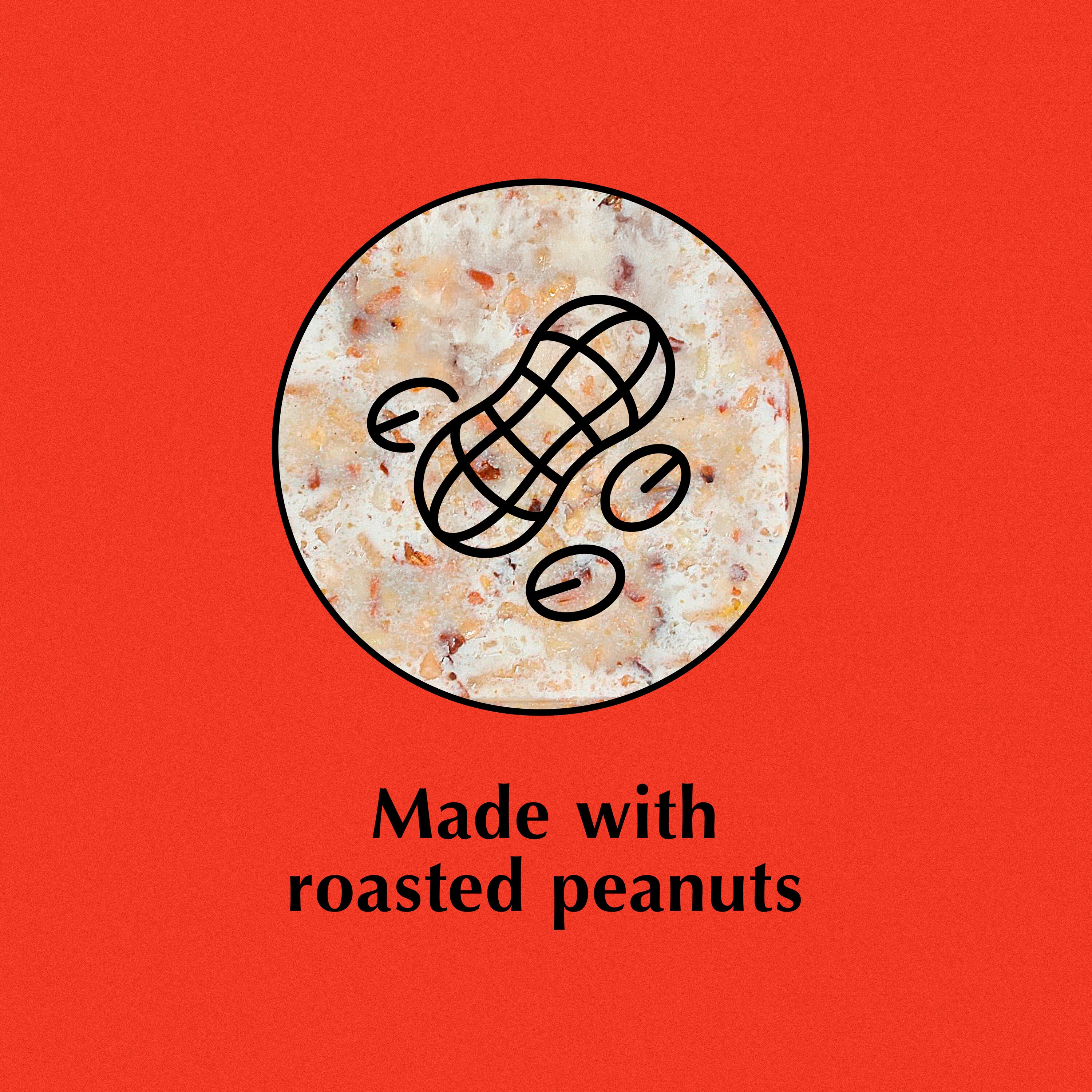 C&S 100214308 Bird-Squirrel-Food - View #3