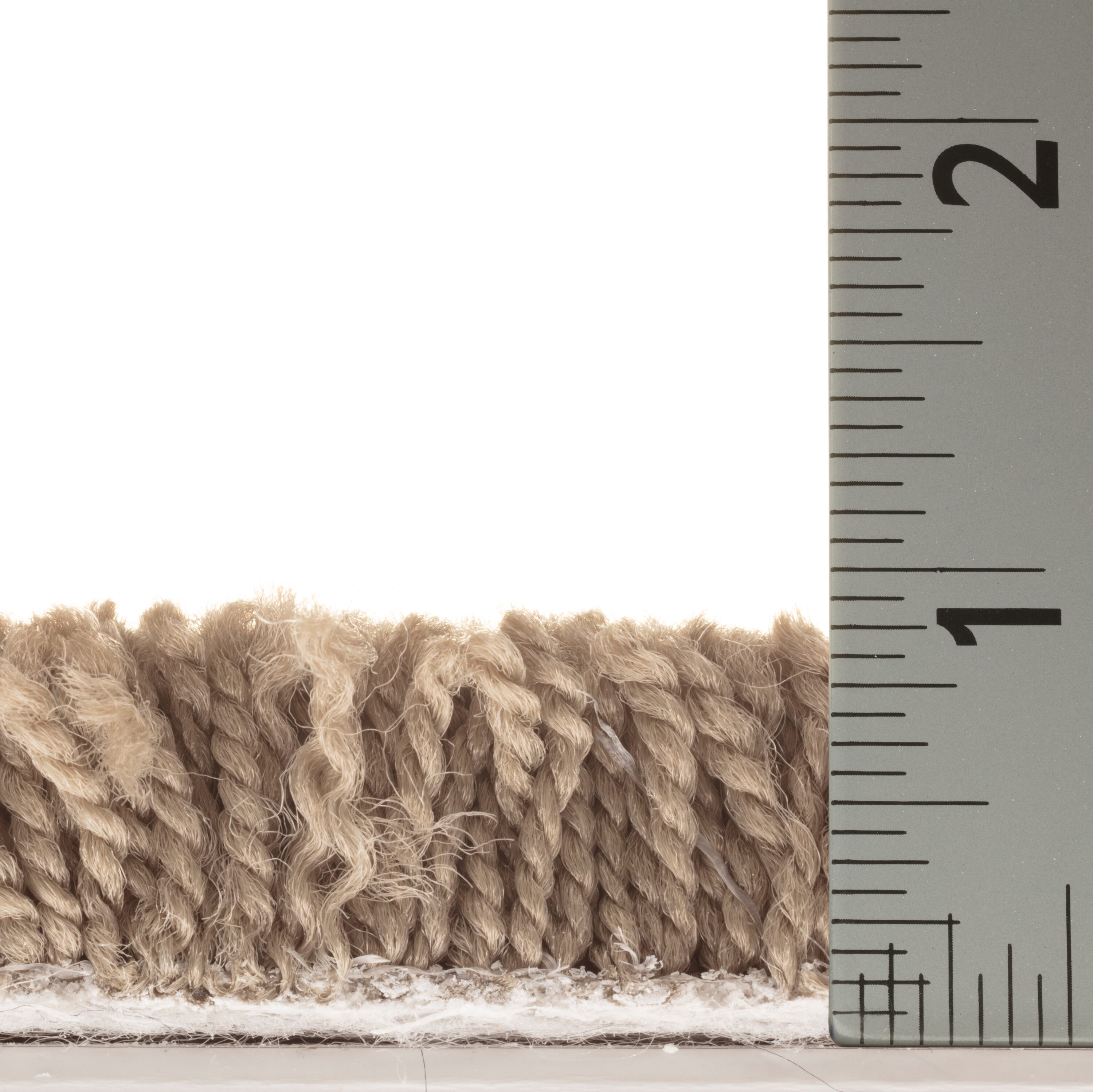 STAINMASTER PetProtect 7L882 - 521 - SAMP Carpet-Samples - View #6
