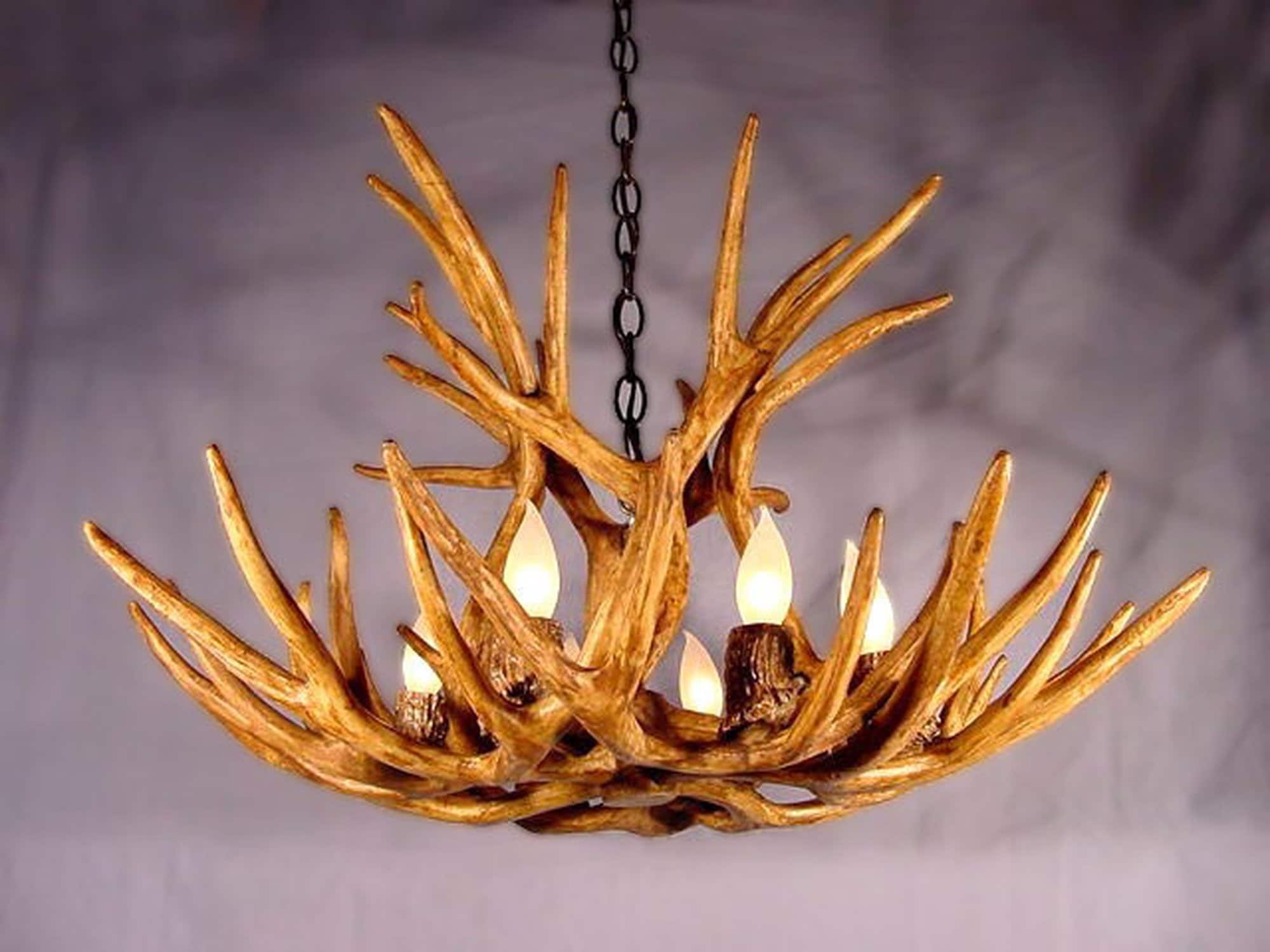 Canadian Antler Design CLR-1-XL-N b090015 - View #8