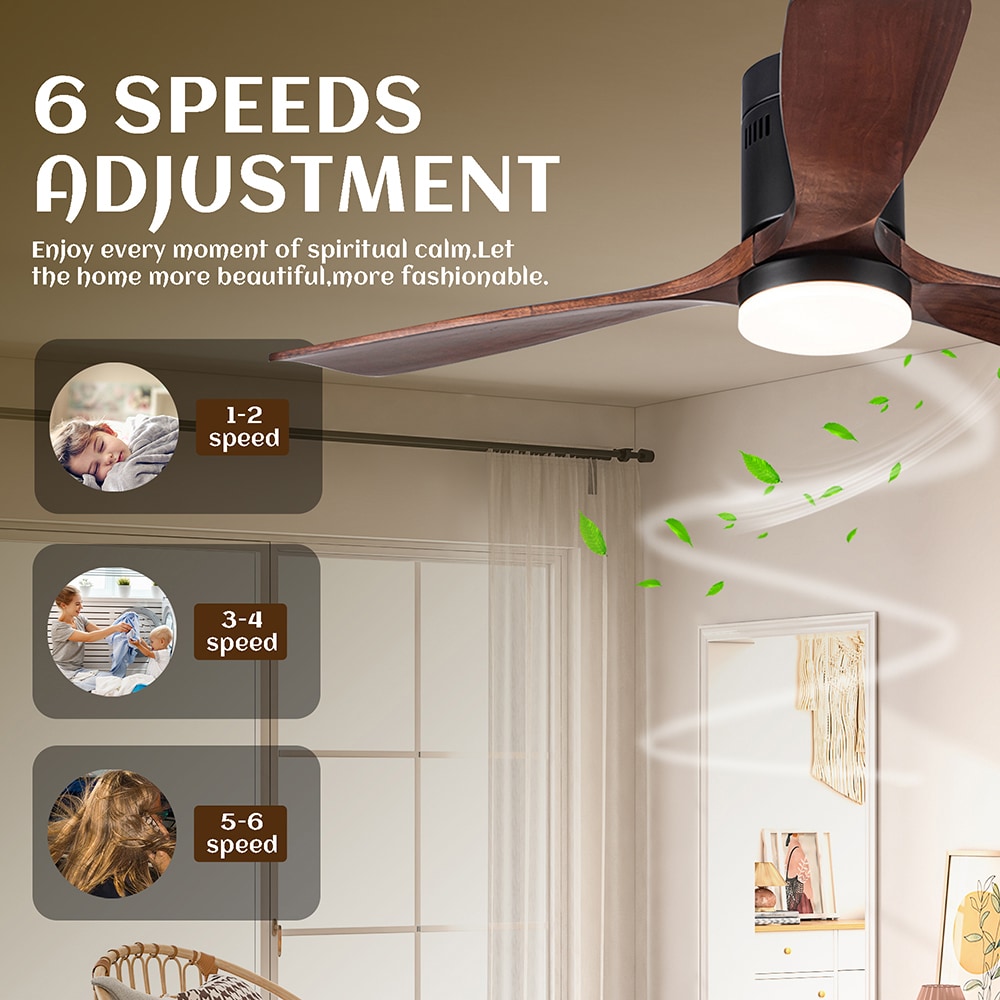 Sunrinx MG37-1-CF-7 Ceiling-Fans - View #5