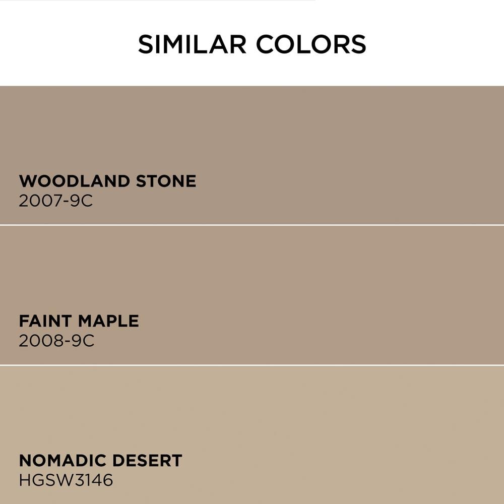 HGTV HOME by Sherwin-Williams 3003-9B-2557209 Int-Ext-Paint - View #6