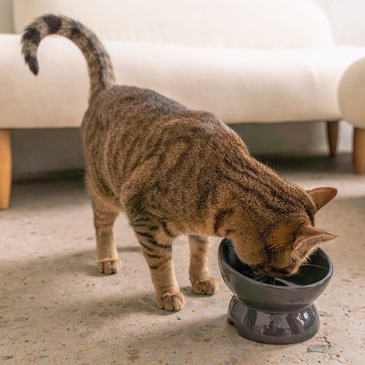 Dexypaws G0871789001867 Pet-Bowls - Thumbnail View #2
