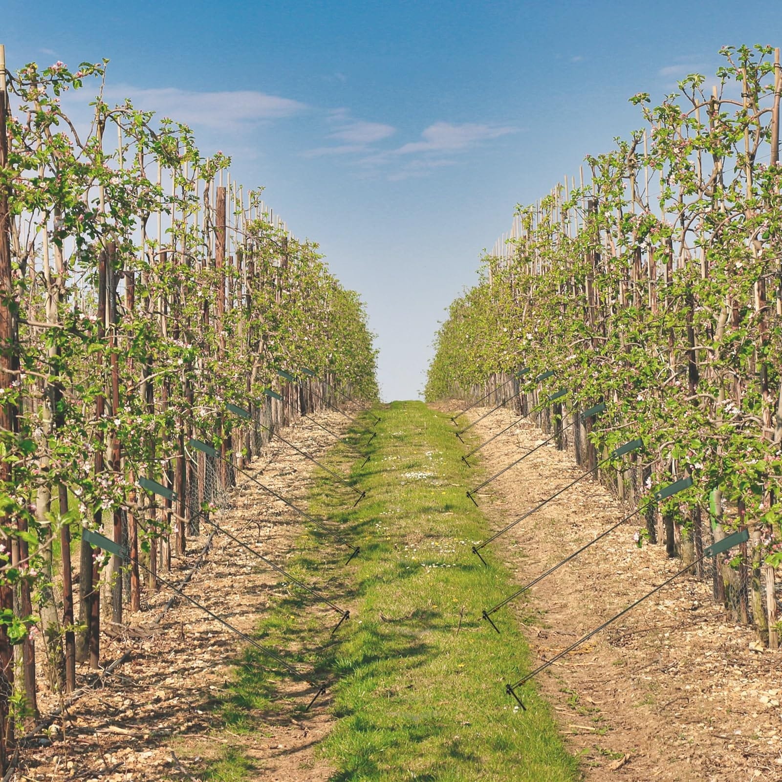 Adrinfly LAD0421S16 Tree-Stakes-Ties - View #7