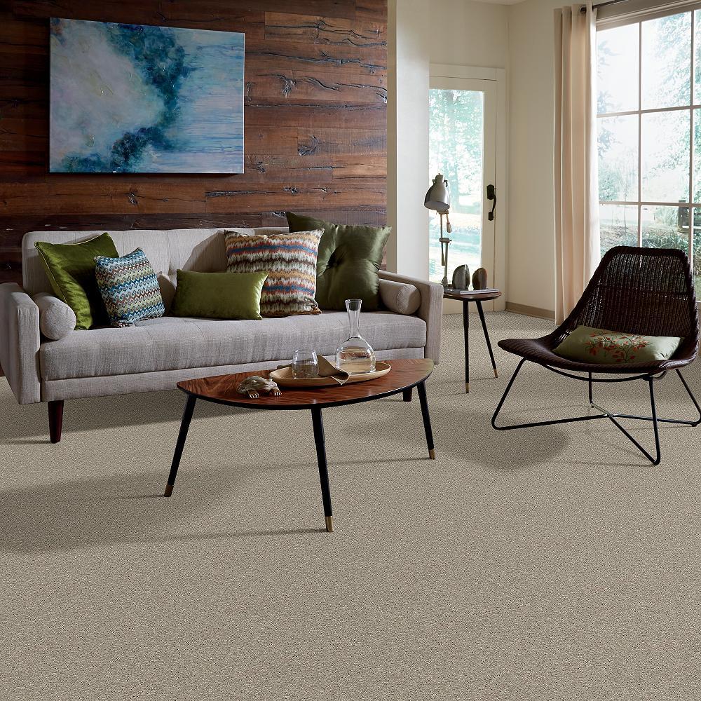 STAINMASTER 7L54900500 Carpet-Panel - View #5