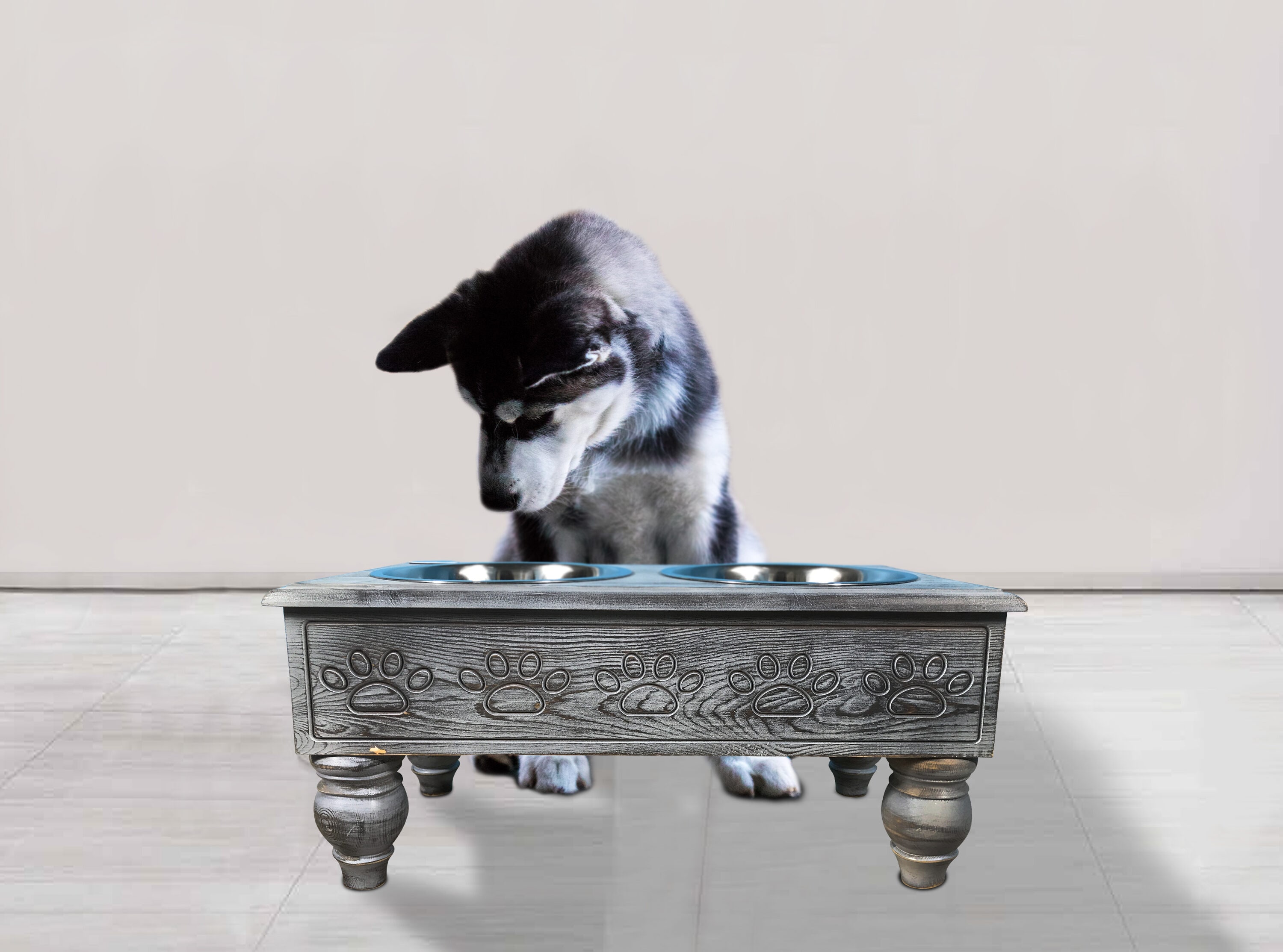 Iconic Pet 64-oz Stainless Steel Dog Elevated Feeder in the Feeders  department at