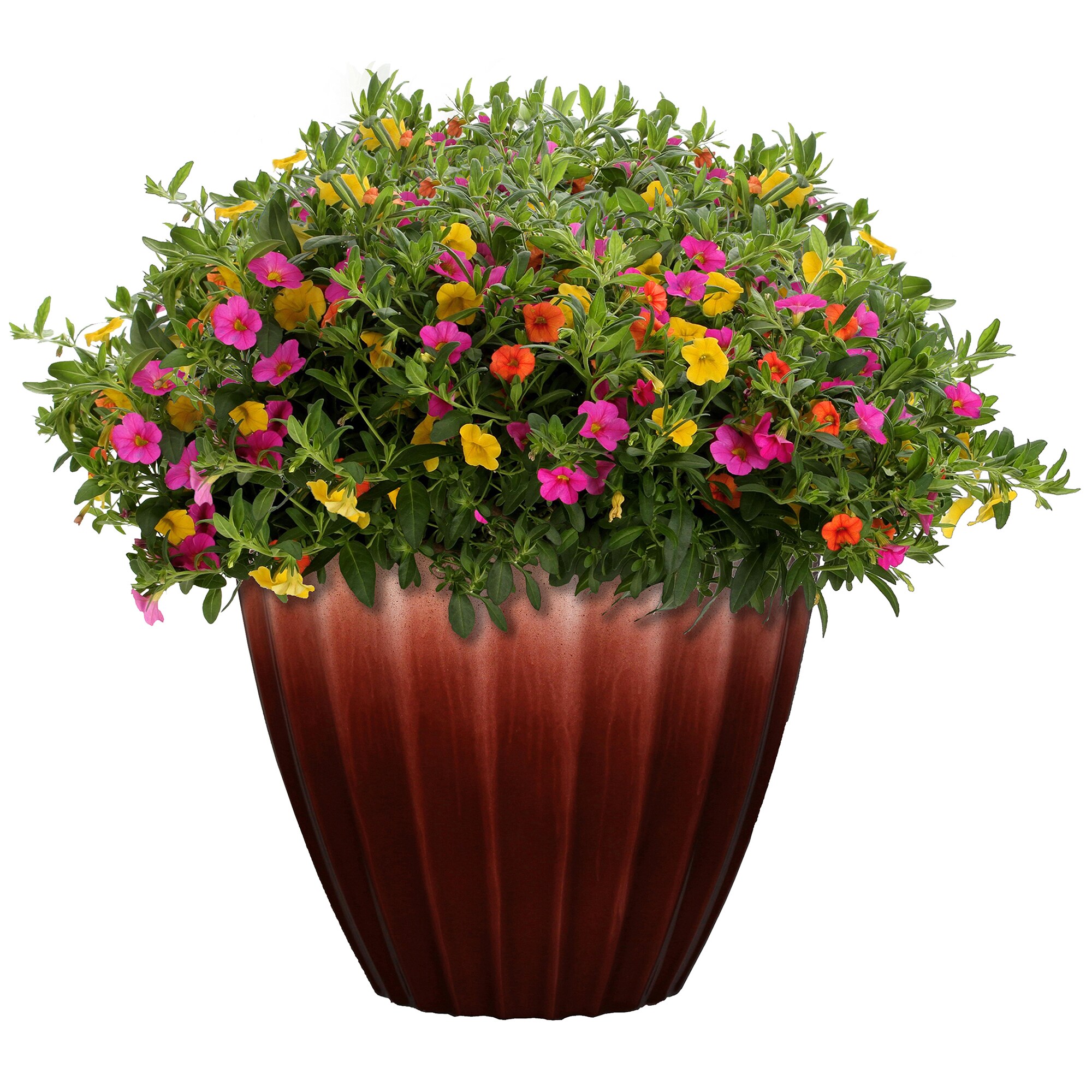 allen + roth PLB3620LRC Planter-Window-Box - View #5