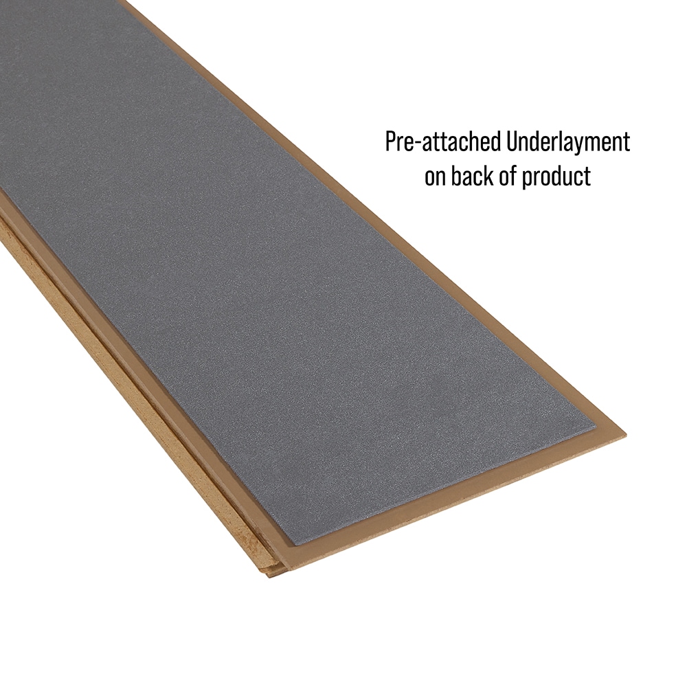 STAINMASTER PetProtect LWCSS581 Laminate-Flooring-Samples - View #9