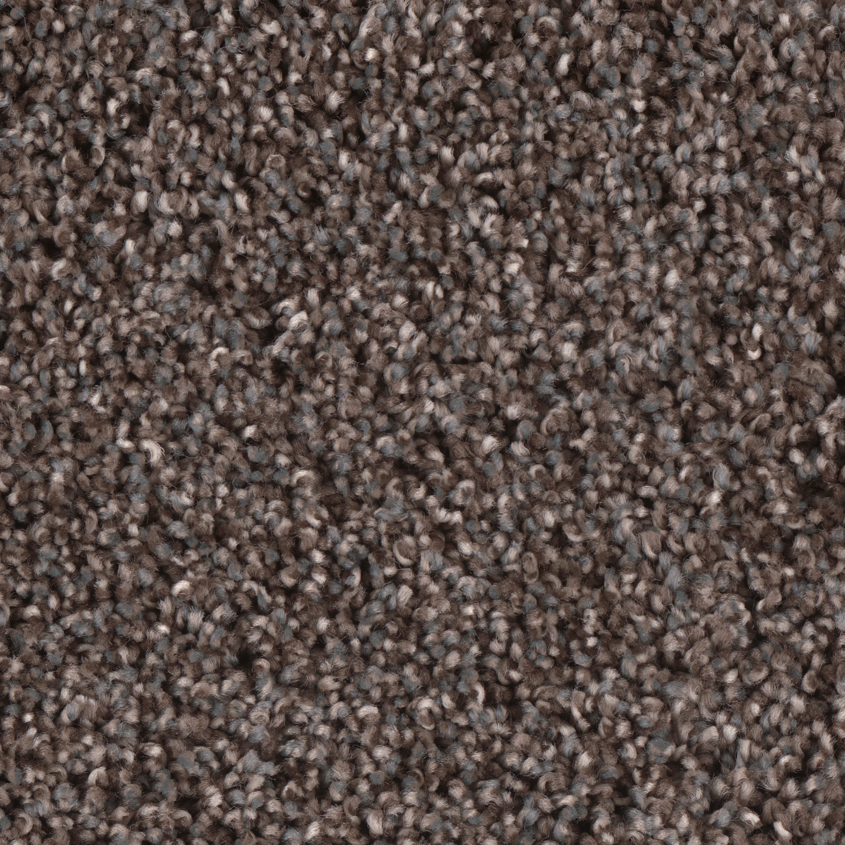 STAINMASTER S8764-959-S (Sample) Concerto Concert Multi-Colored 64-oz sq yard Polyester Textured Indoor Carpet
