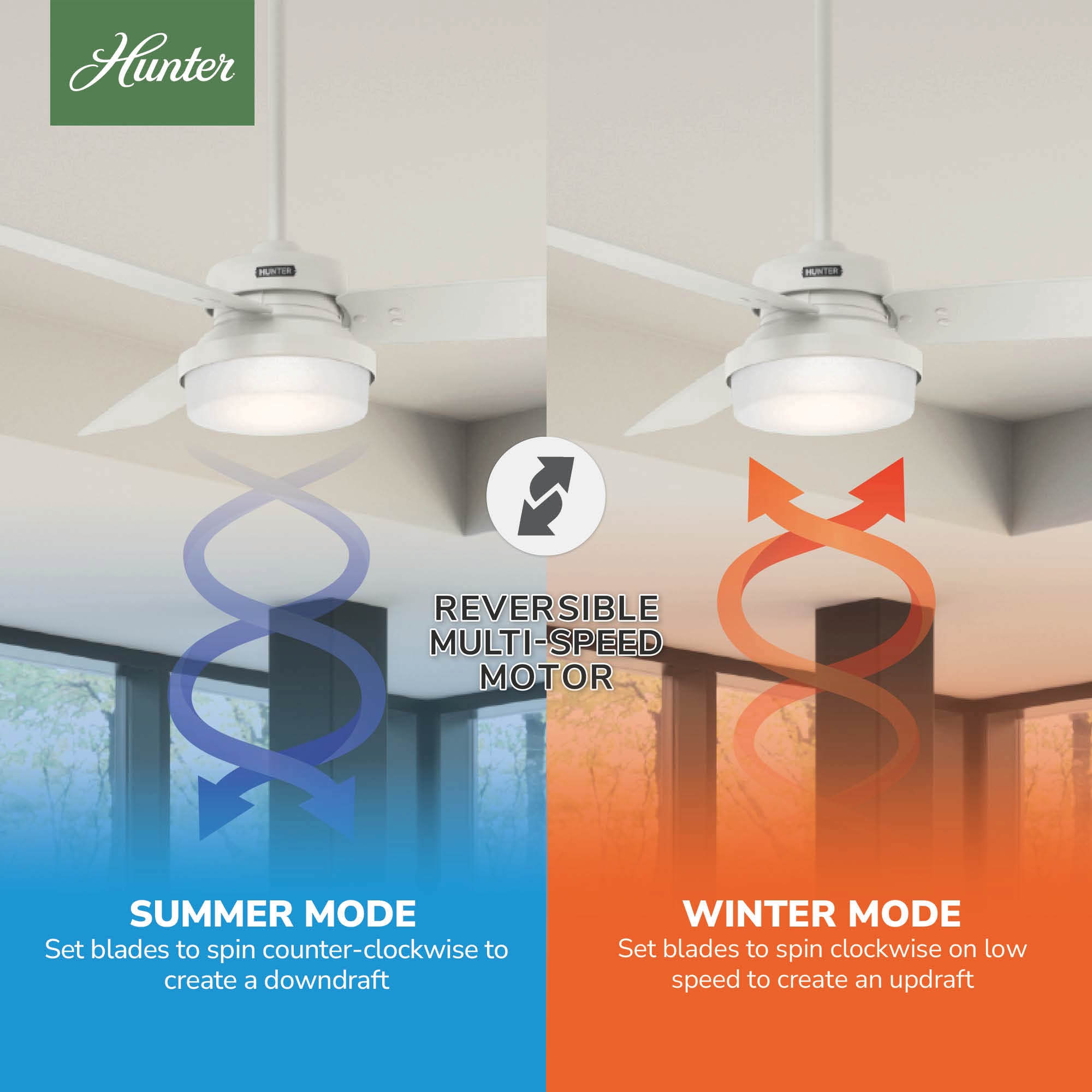 Hunter 59169 Ceiling-Fans - View #8
