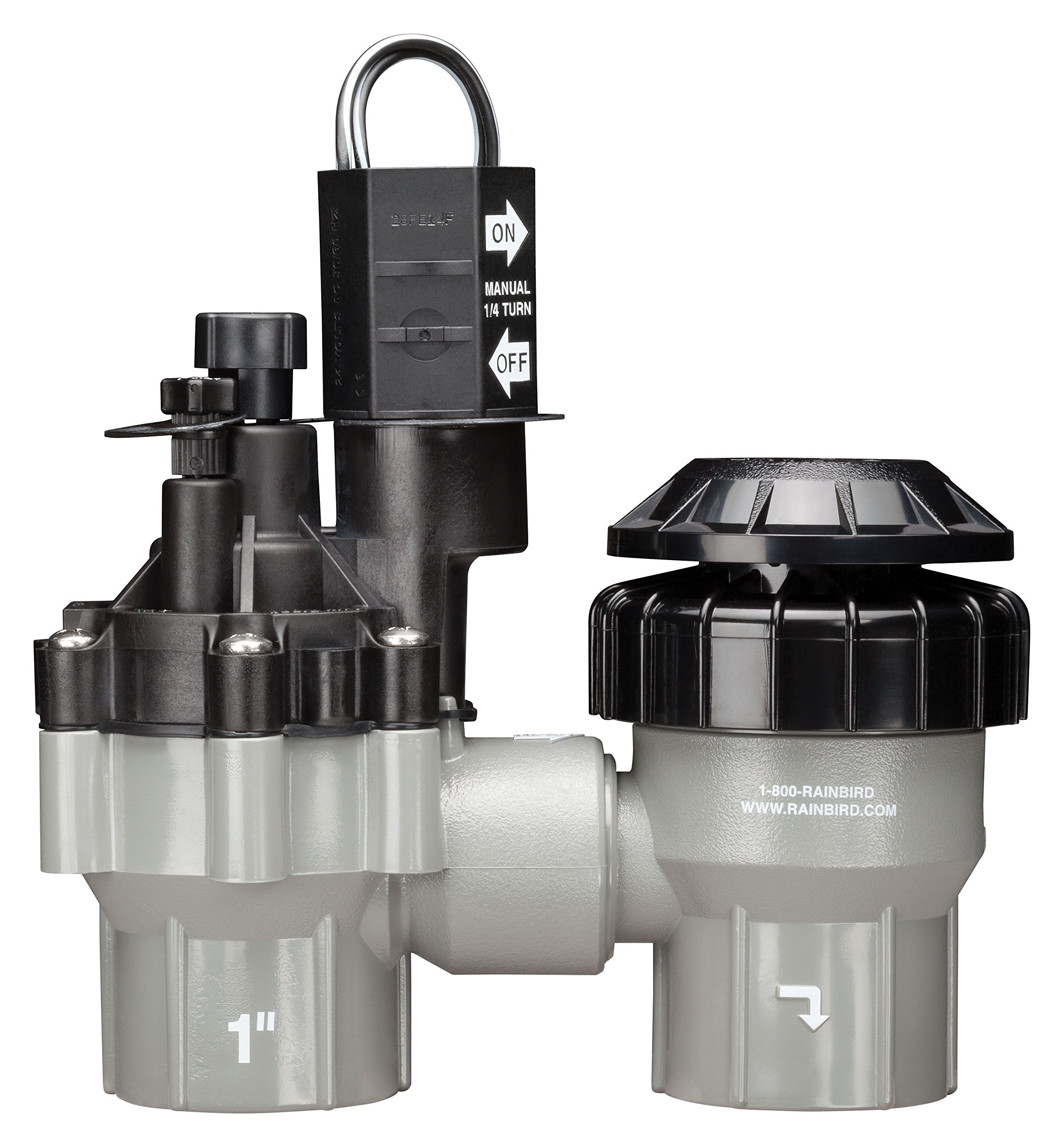 Rain Bird DASASVF100 Professional Anti-Siphon Valve with Flow Control - 1 Inch Threaded