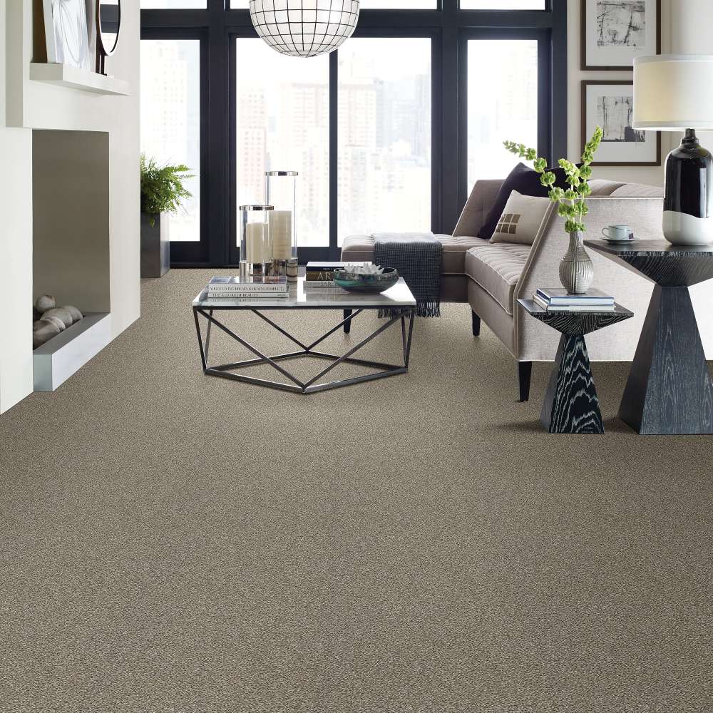 STAINMASTER 7L80100108 Carpet-Panel - View #3