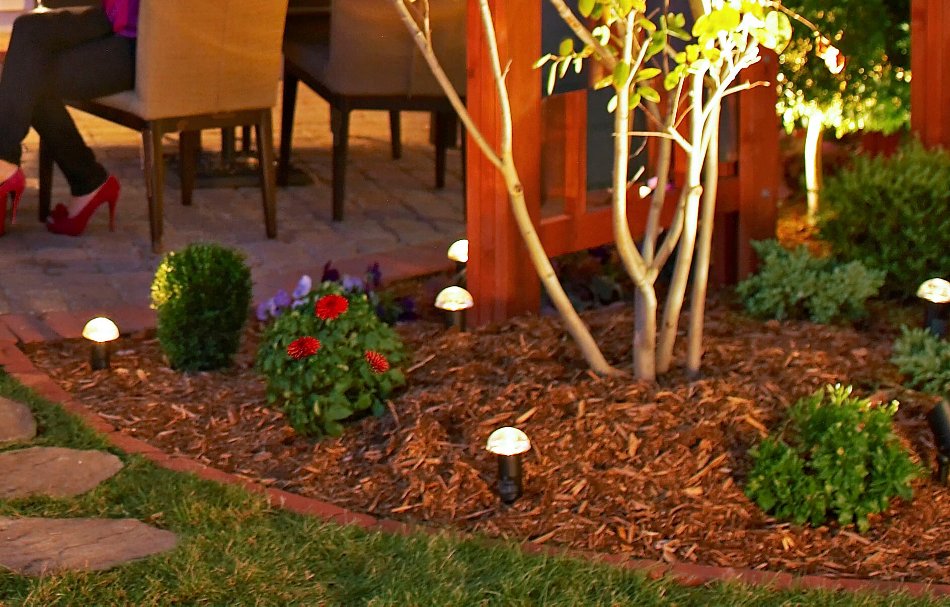 Santa Monica Landscape Lighting• LV Pro Lighting