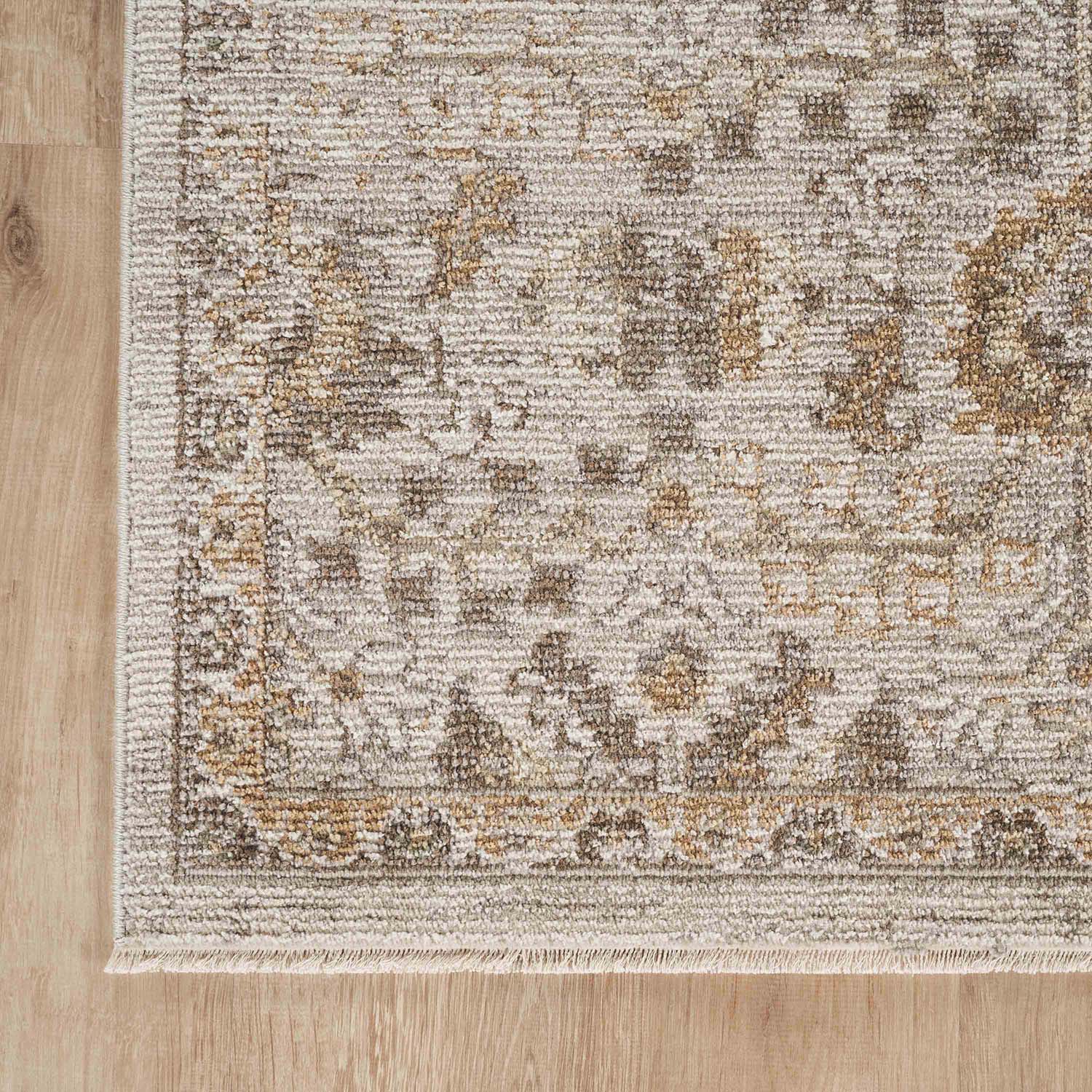 Abani Rugs EVE140A-4 rugs - View #3