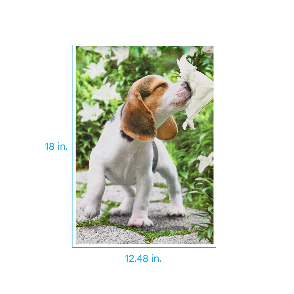 Style Selections ZLW14S11731 Decorative-Banner-Flags - View #2