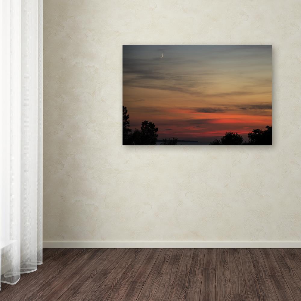Trademark Fine Art KS0169-C2232GG Wall-Art - View #3