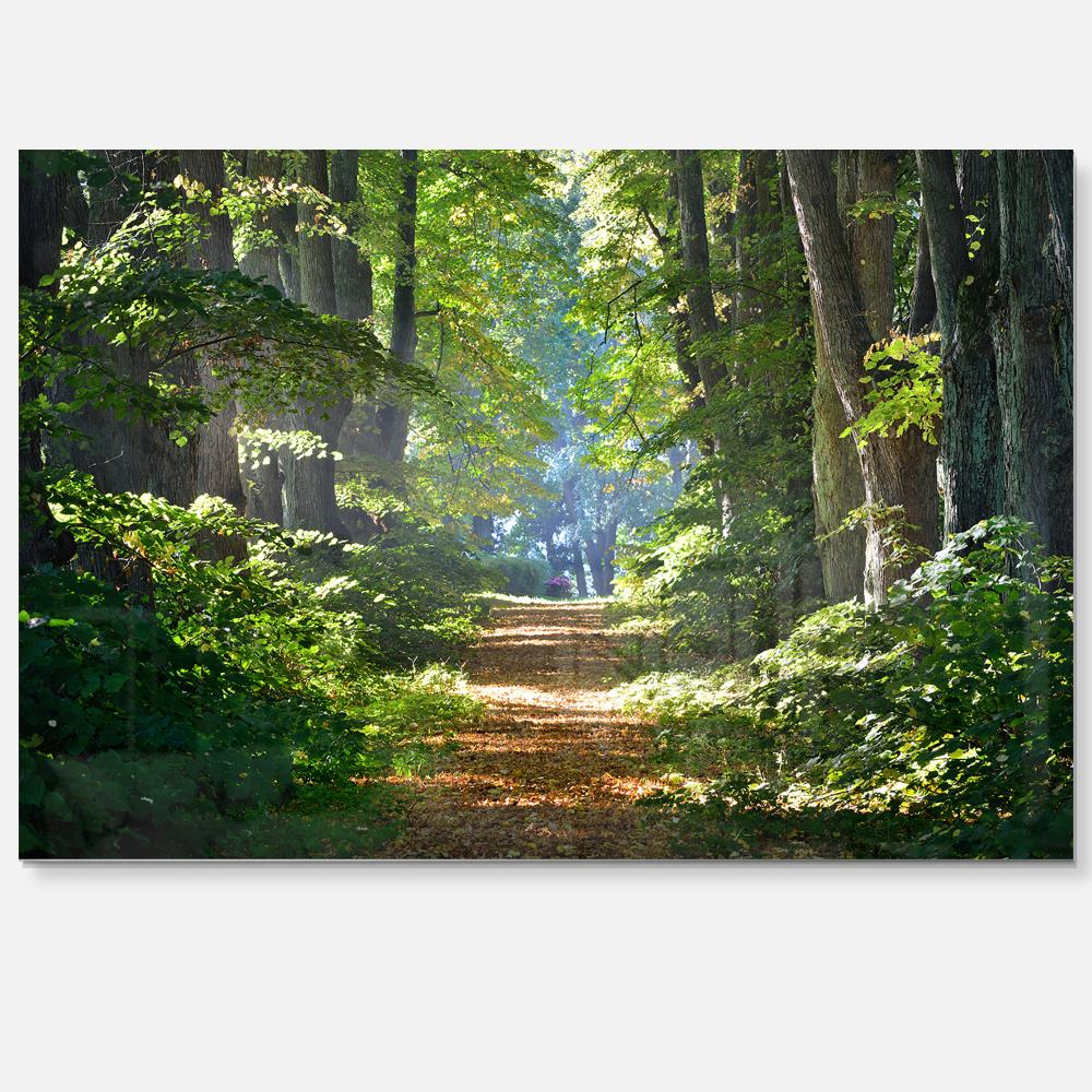 Designart Bright Green Forest in Morning- Landscape Photography 