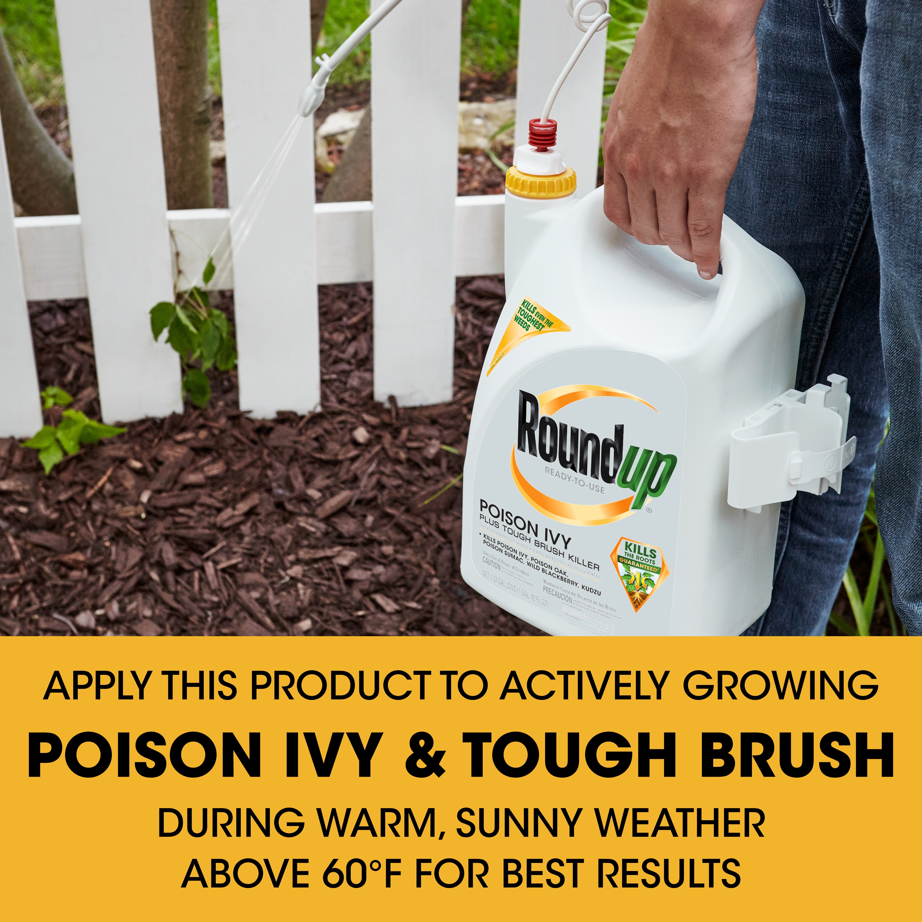 Roundup Ready To Use Plus